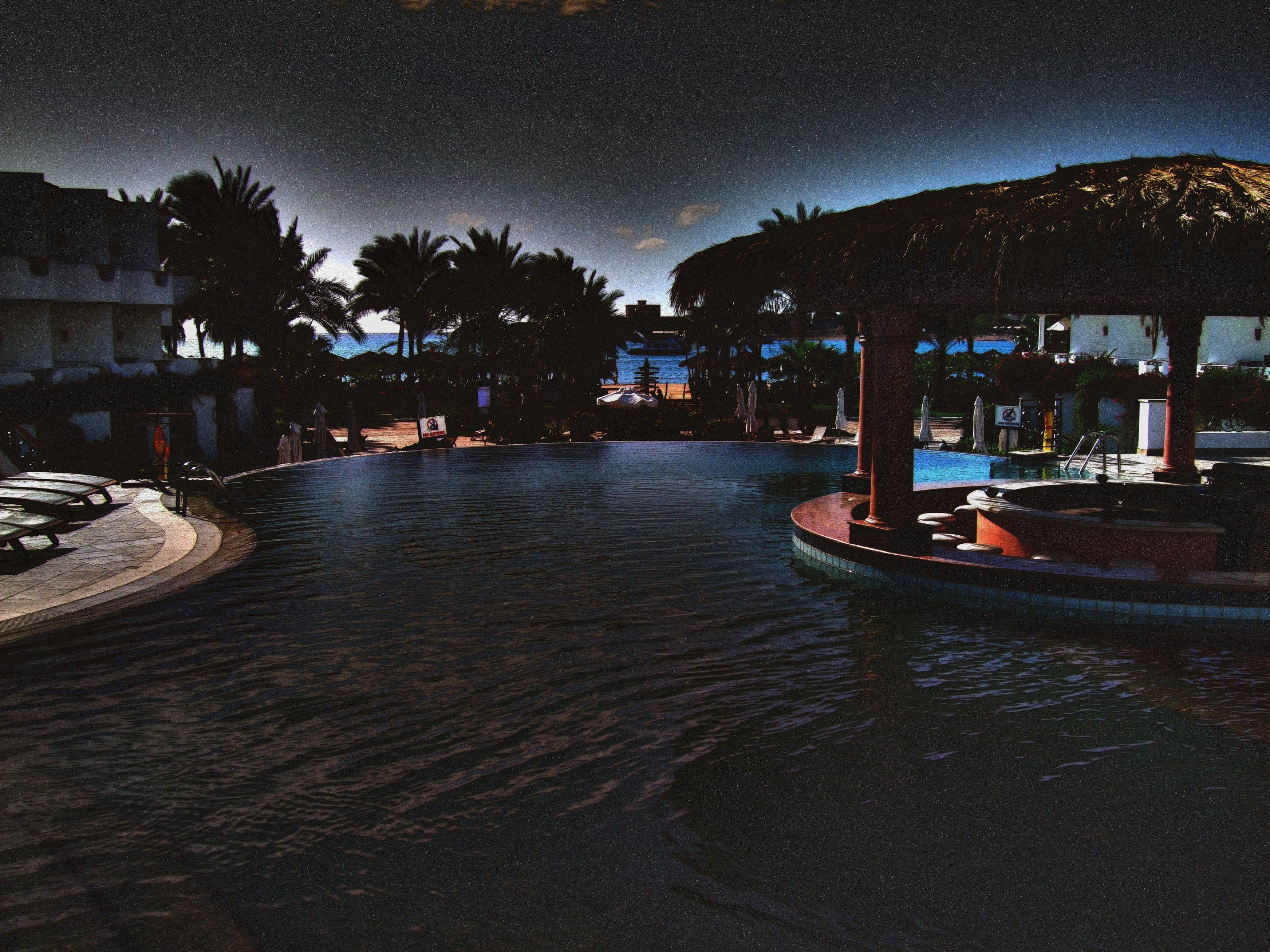 3488x2616 Misc: Starlit Pool Egypt Palm Trees Water Night Starlight Wallpaper