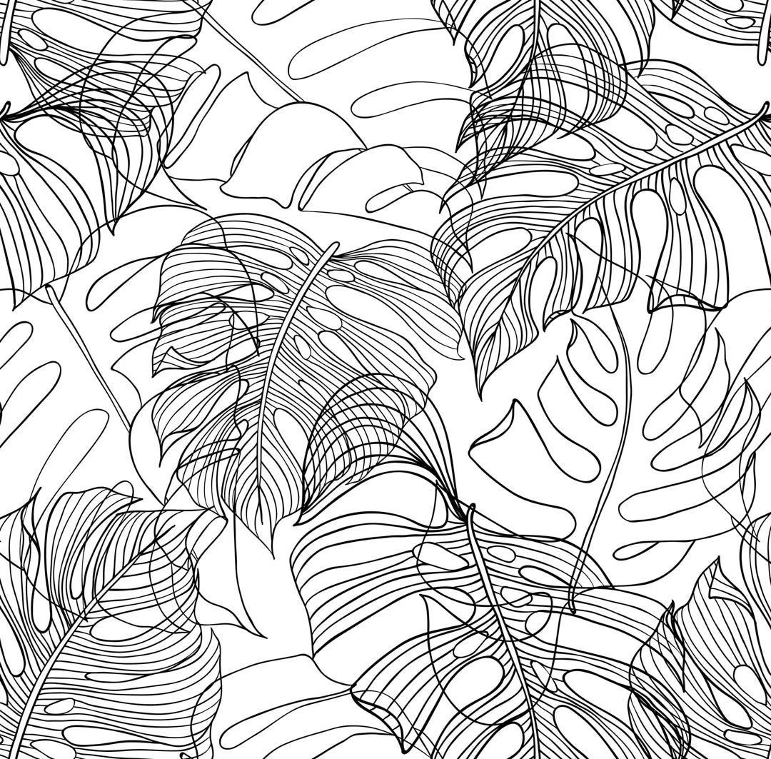 1080x1063 Monstera Leaf Wallpaper in Monochrome