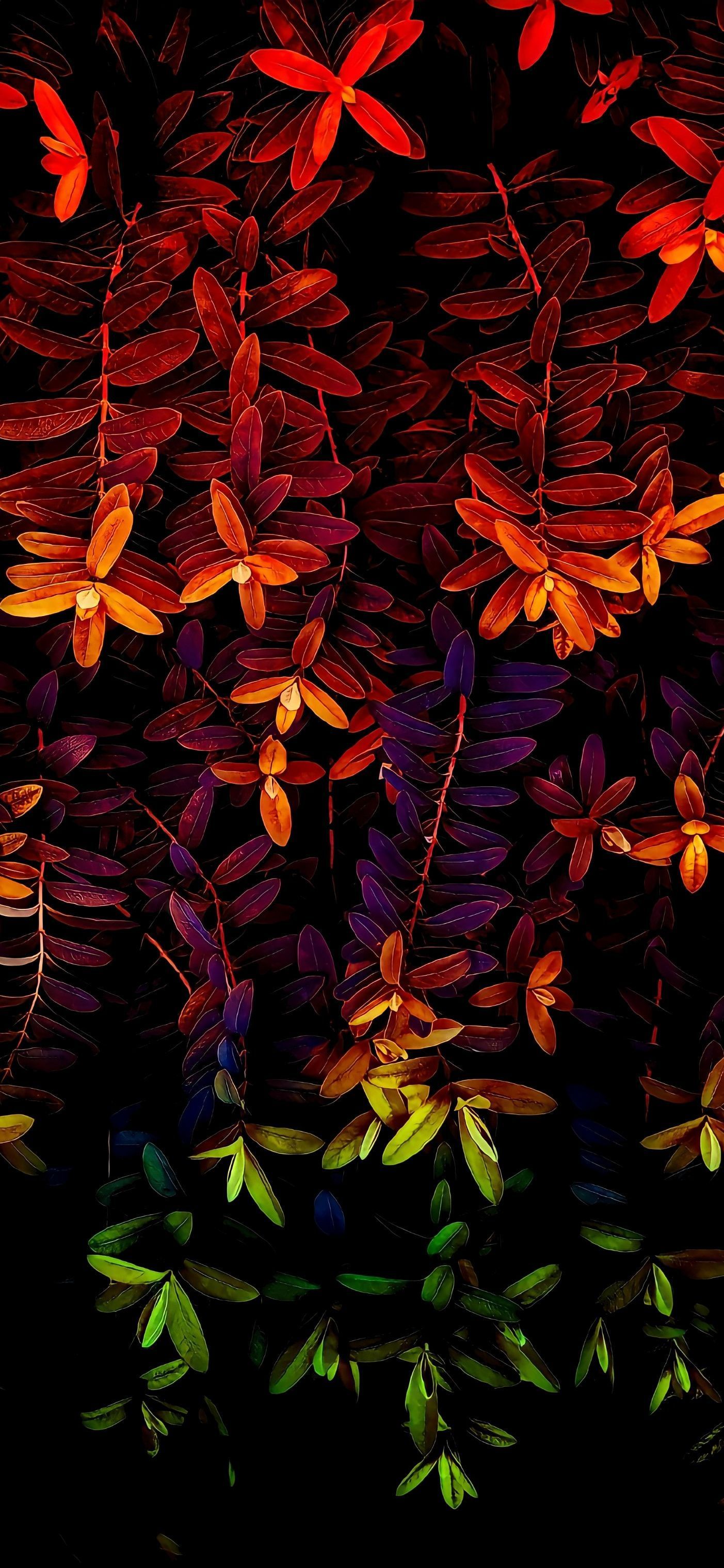 1403x3039 Wallpaper Nature, Leaf, Art, Plant, Flower, Background Free Image
