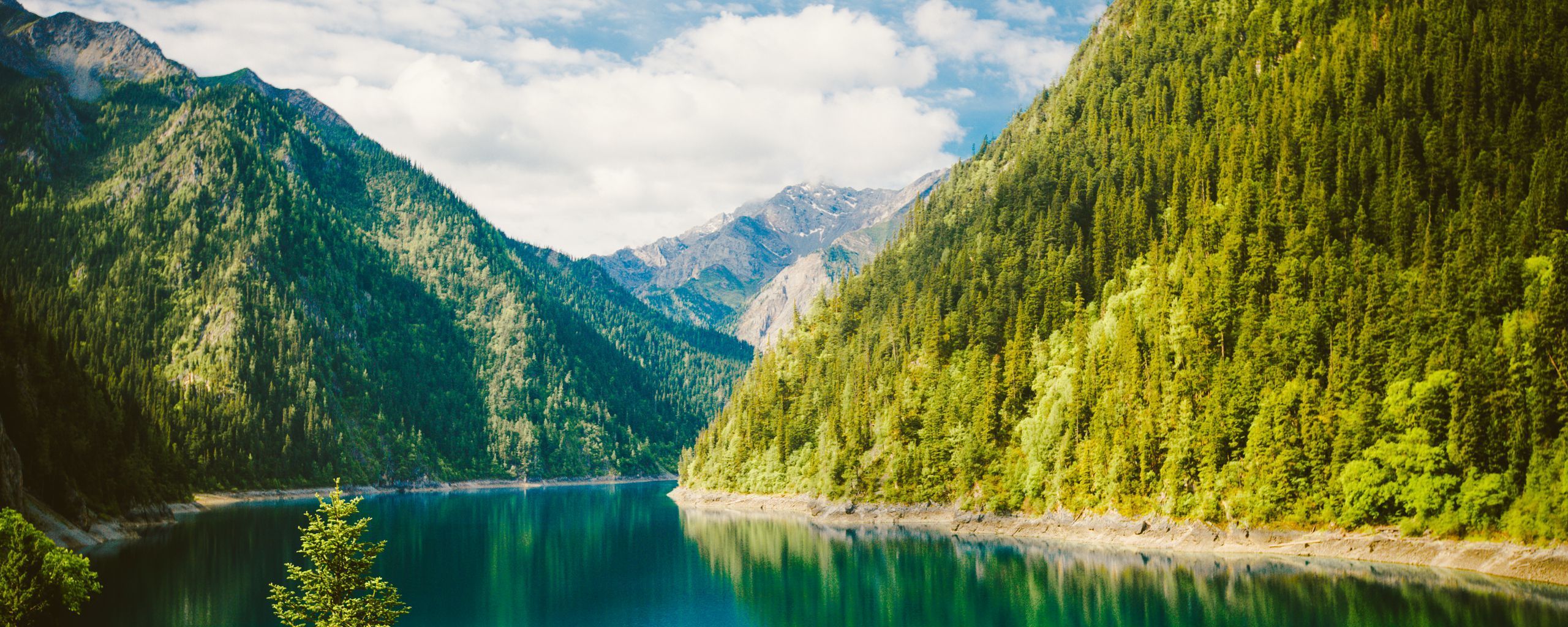 2560x1024 Download wallpaper 2560x1024 nature, lake, forest, mountains ultrawide monitor HD background