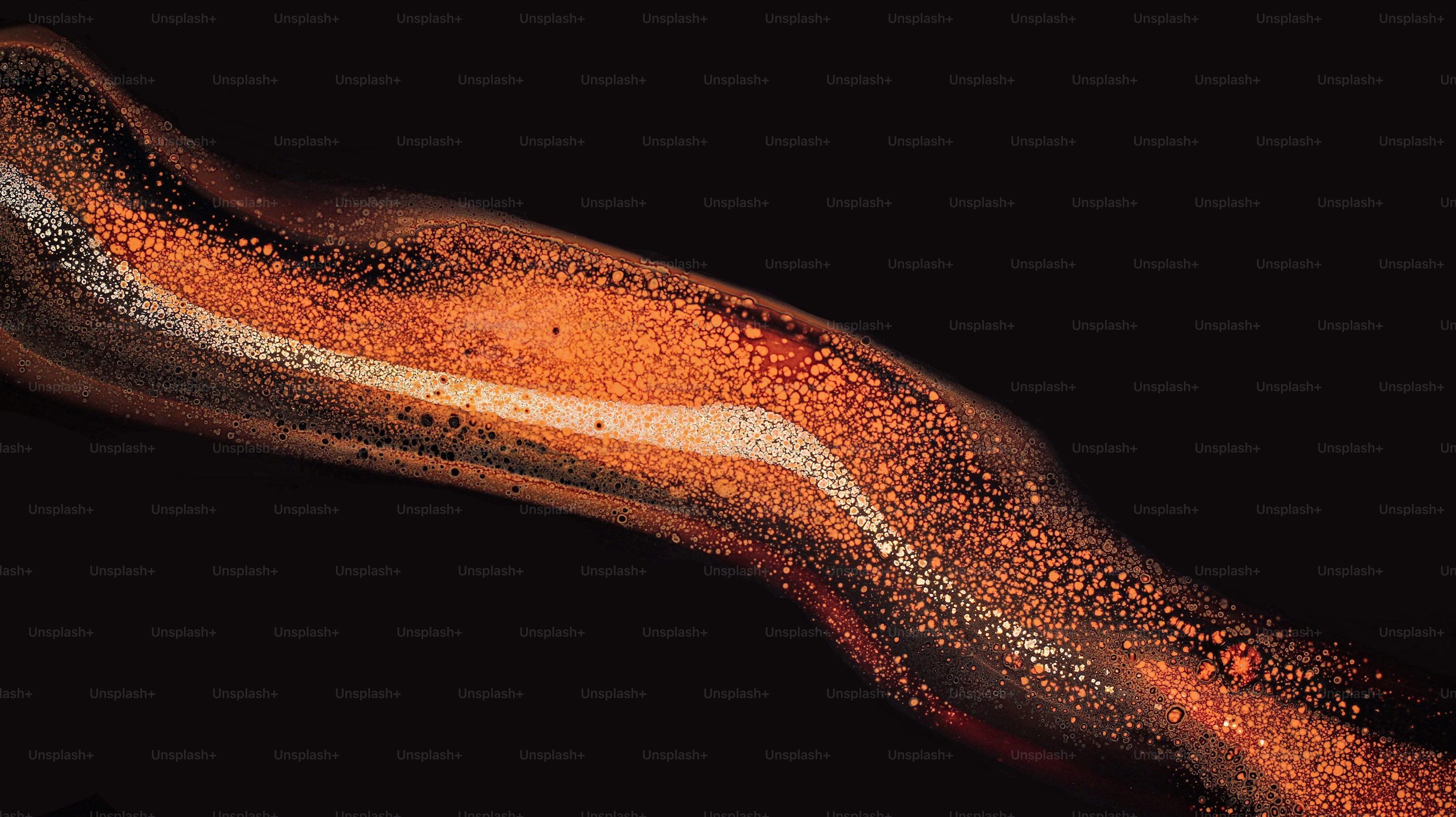 3000x1684 Wallpaper: Free HD Download [4K]