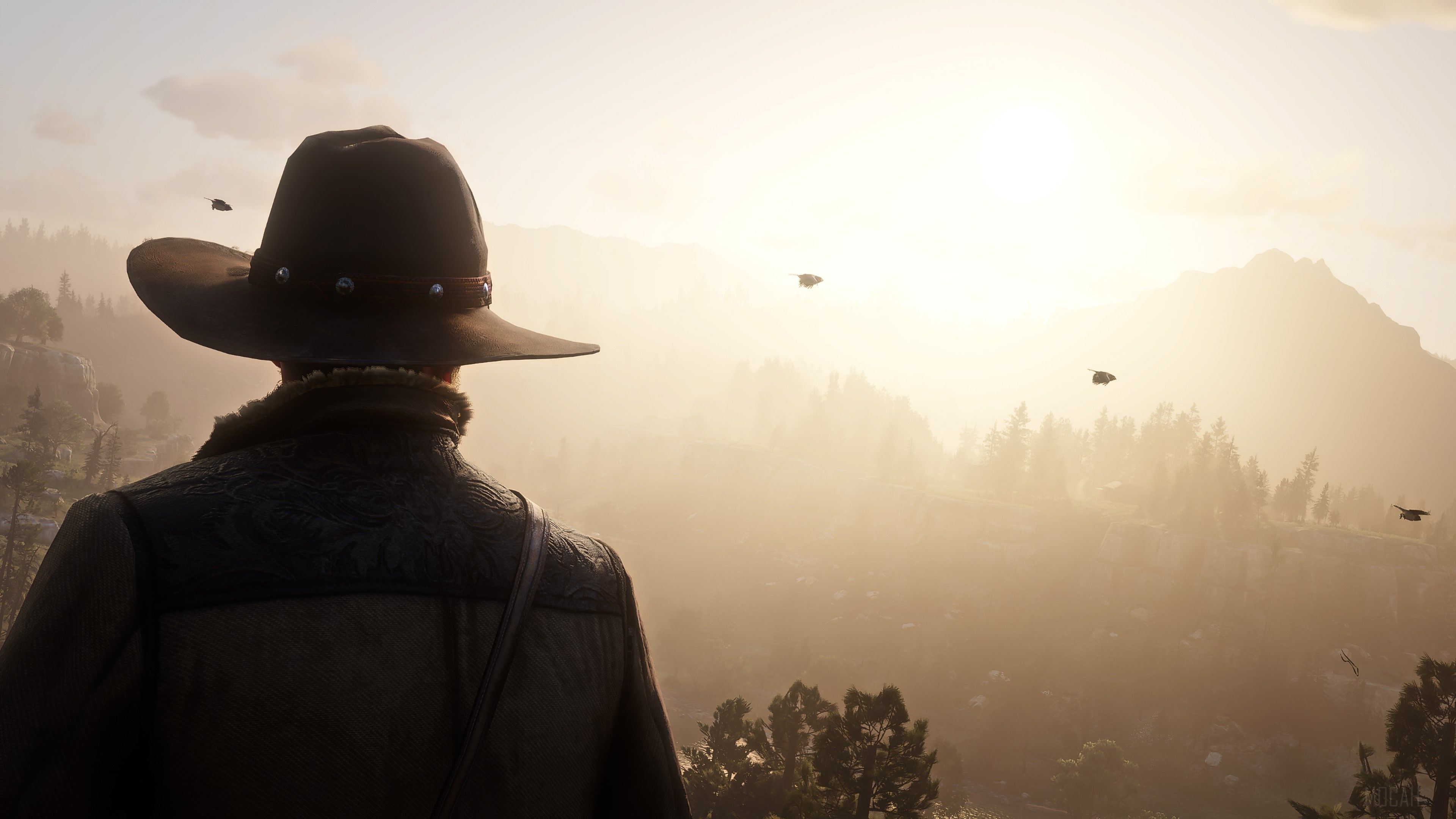 3840x2160 Red Dead Redemption 2 4k, HD Wallpaper