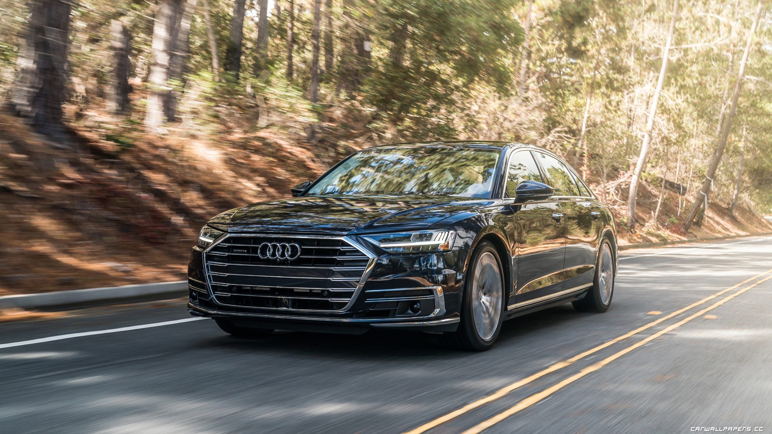 2560x1440 Audi A8 L Wallpaper