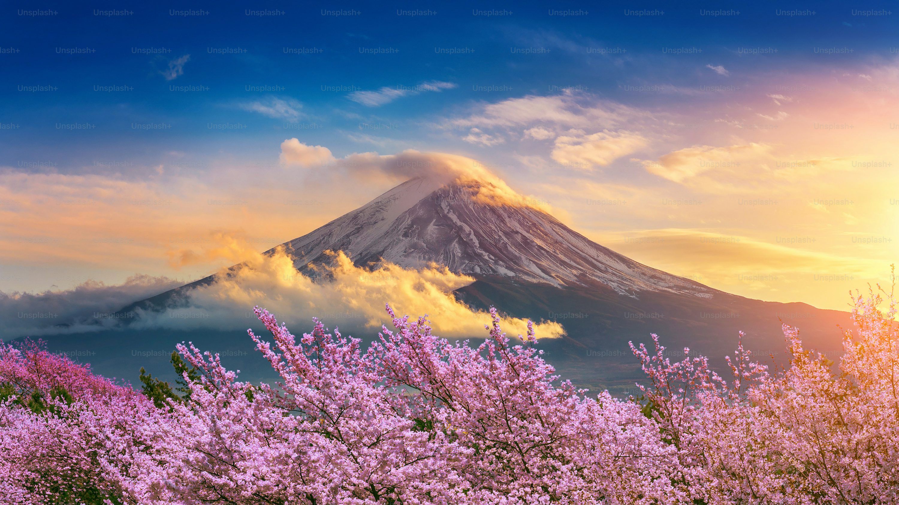 3000x1688 Japan Nature Picture. Download Free Image