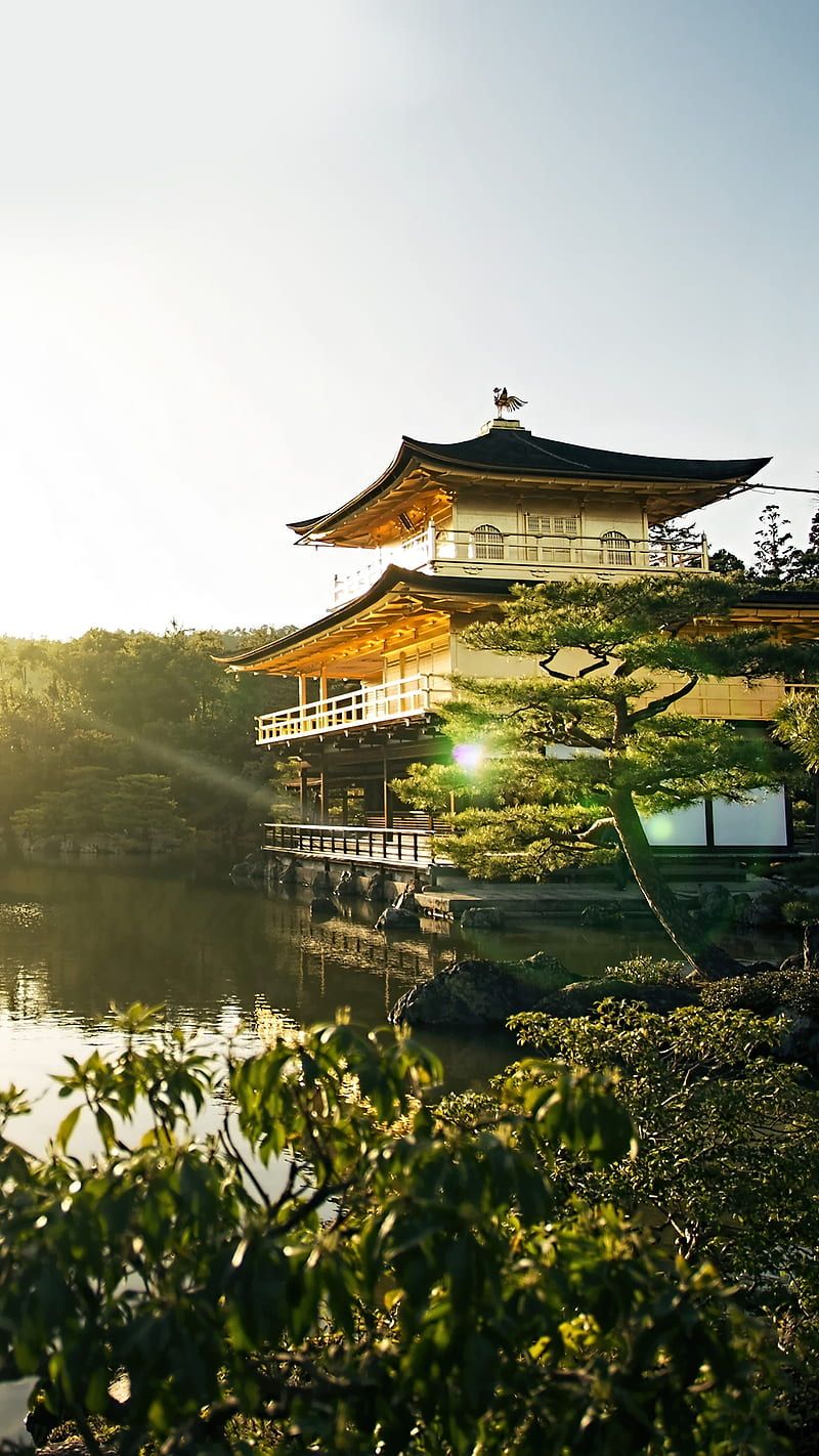 800x1422 Japan Landscape, art, colorful, graphy, vibrant, HD phone wallpaper