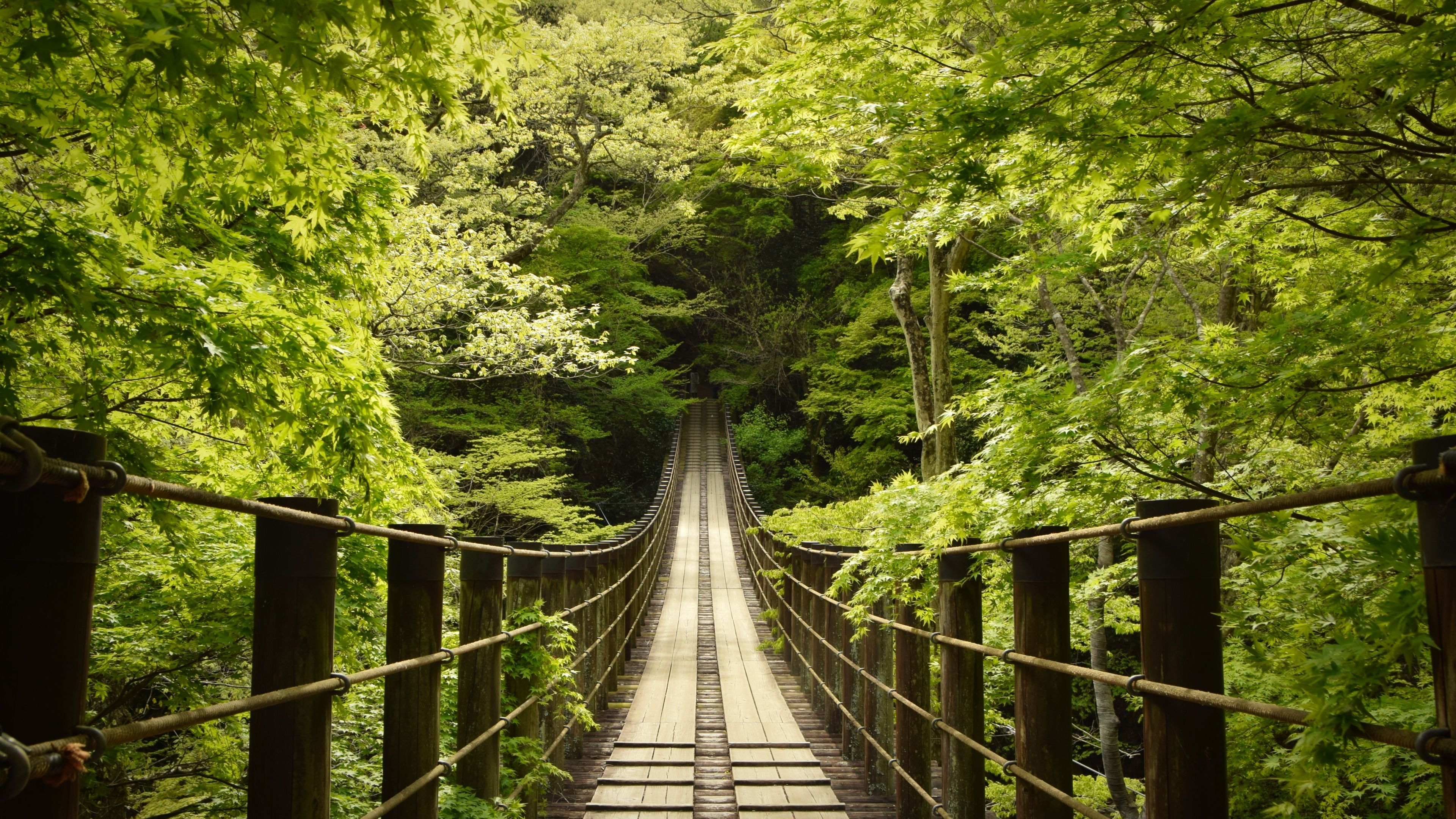 3840x2160 Hananuki Gorge Wallpaper 4K, Japan, Scenic Spot