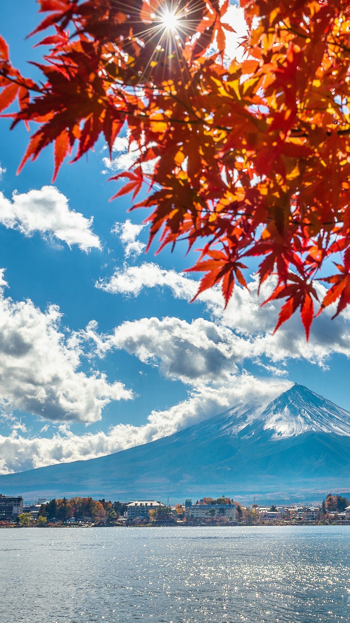 1440x2560 Japan Lake Landscape And Mount Fuji Mountain 4K 5K HD Nature Wallpaper