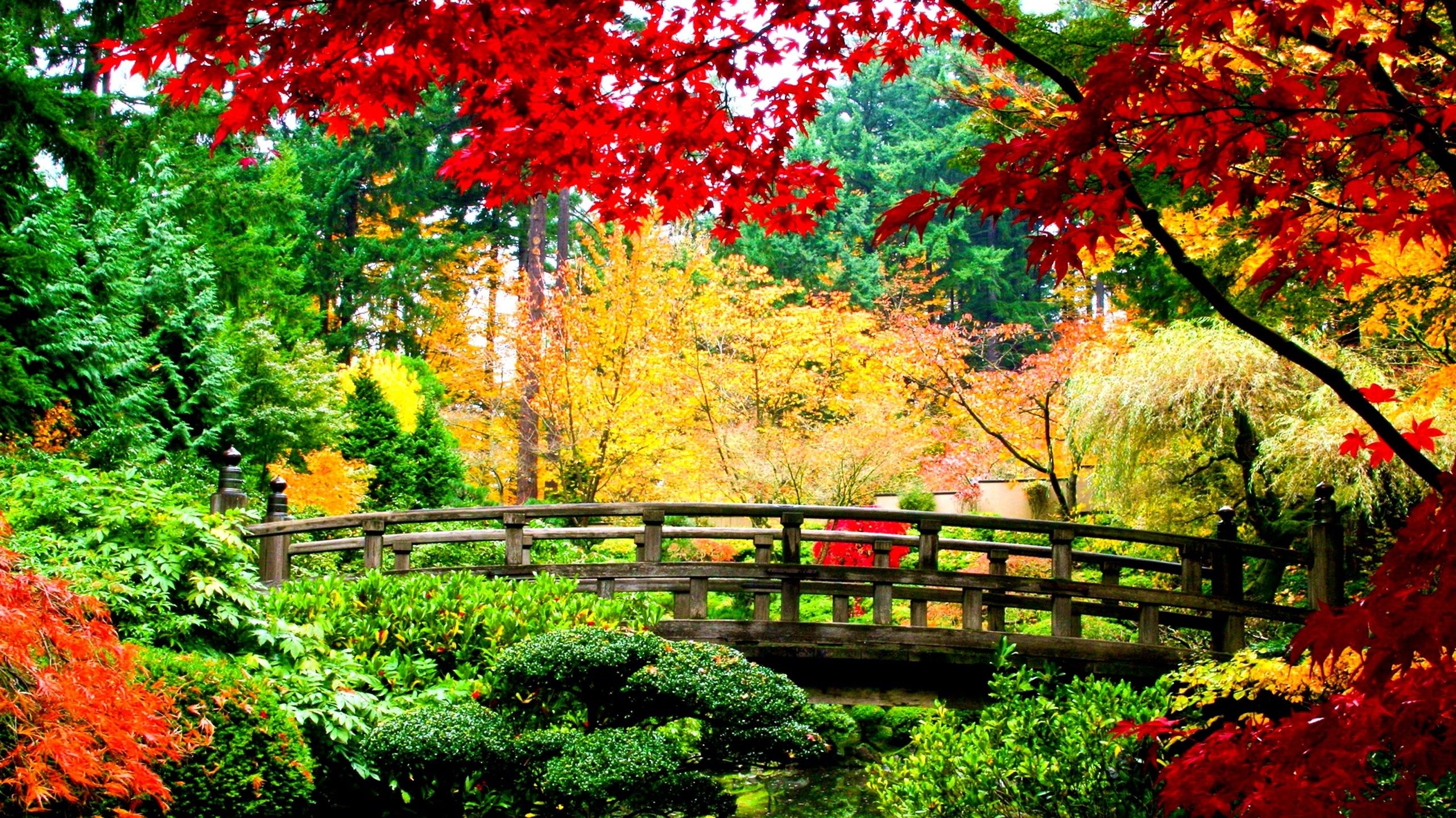 2560x1440 Japanese Nature Wallpaper