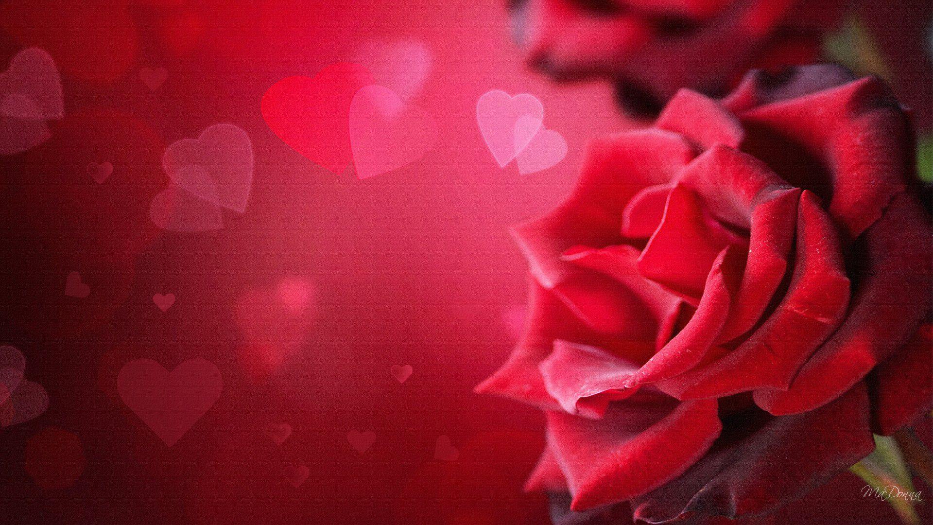 1920x1080 Valentines Day Desktop Wallpaper, High Definition, High