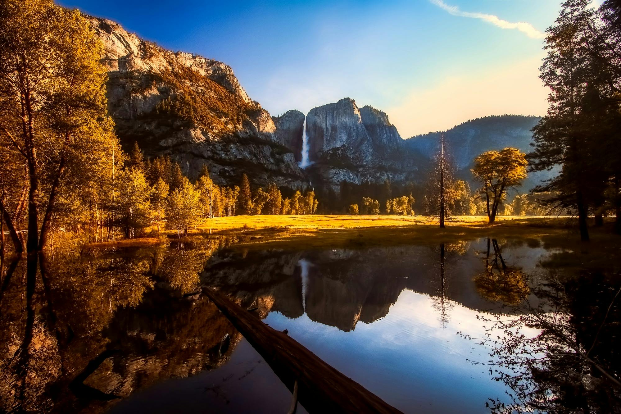 2000x1333 Forest Near Body of Water · Free