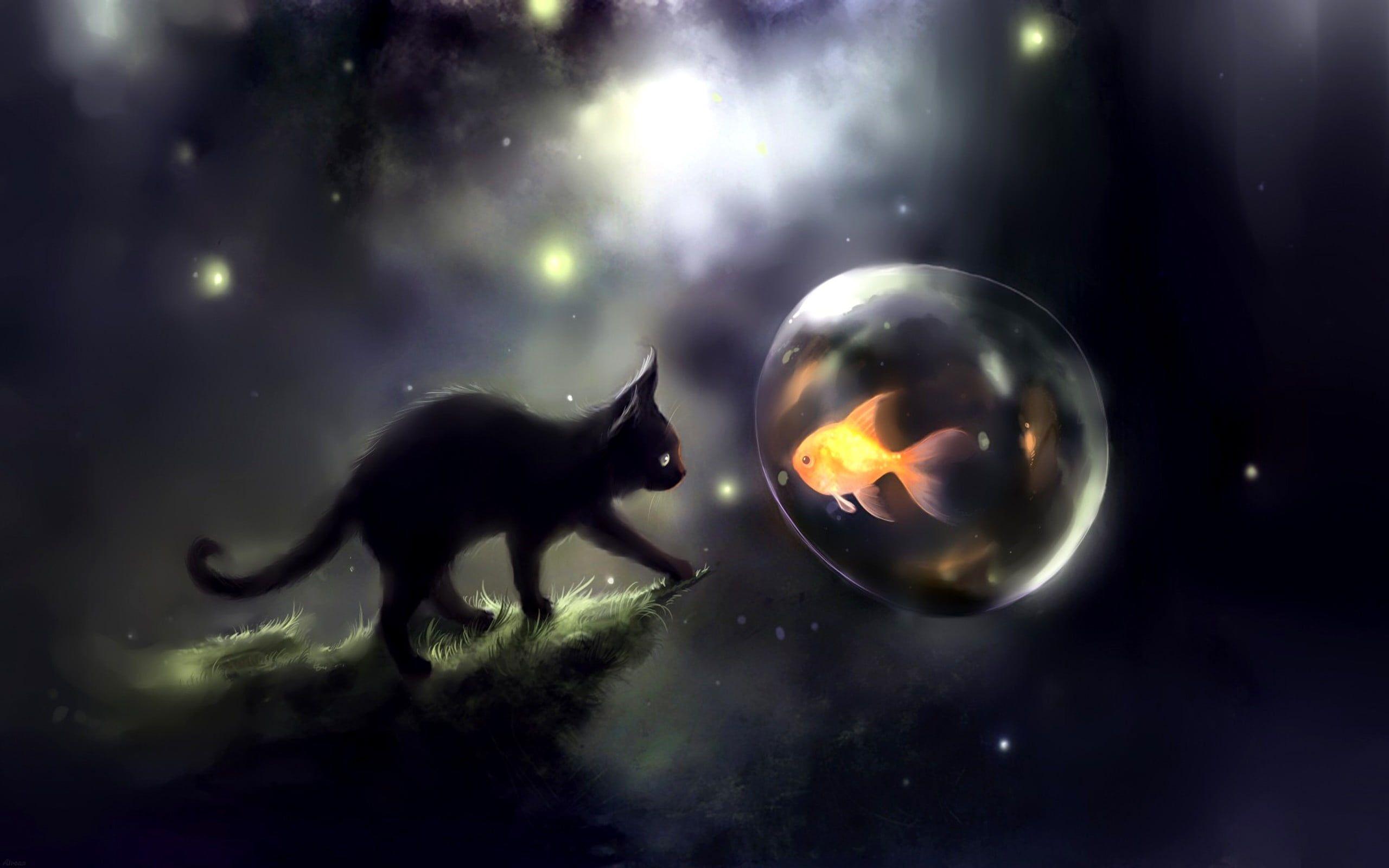 2560x1600 Black cat and orange fish digital wallpaper, Apofiss, cat