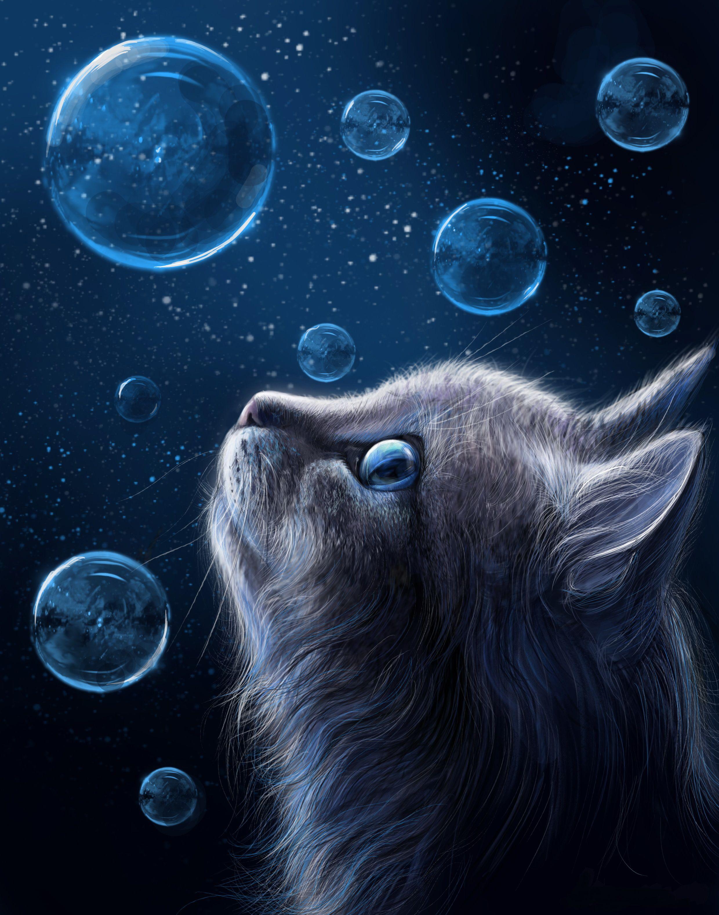 Cat and Bubbles Wallpapers Top Free Cat and Bubbles Backgrounds WallpaperAccess