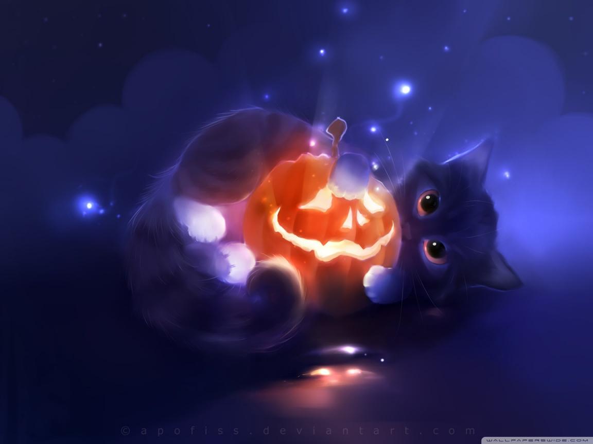 1152x864 Black Kitten And Halloween Pumpkins Wallpaper