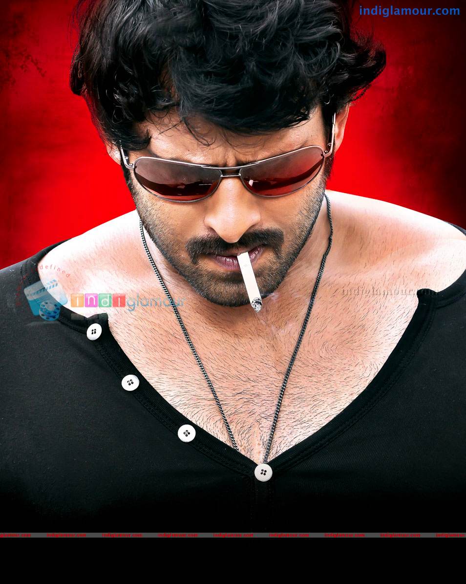 954x1195 Rebel Movie HD Photo, Image, Pics, Stills And Picture