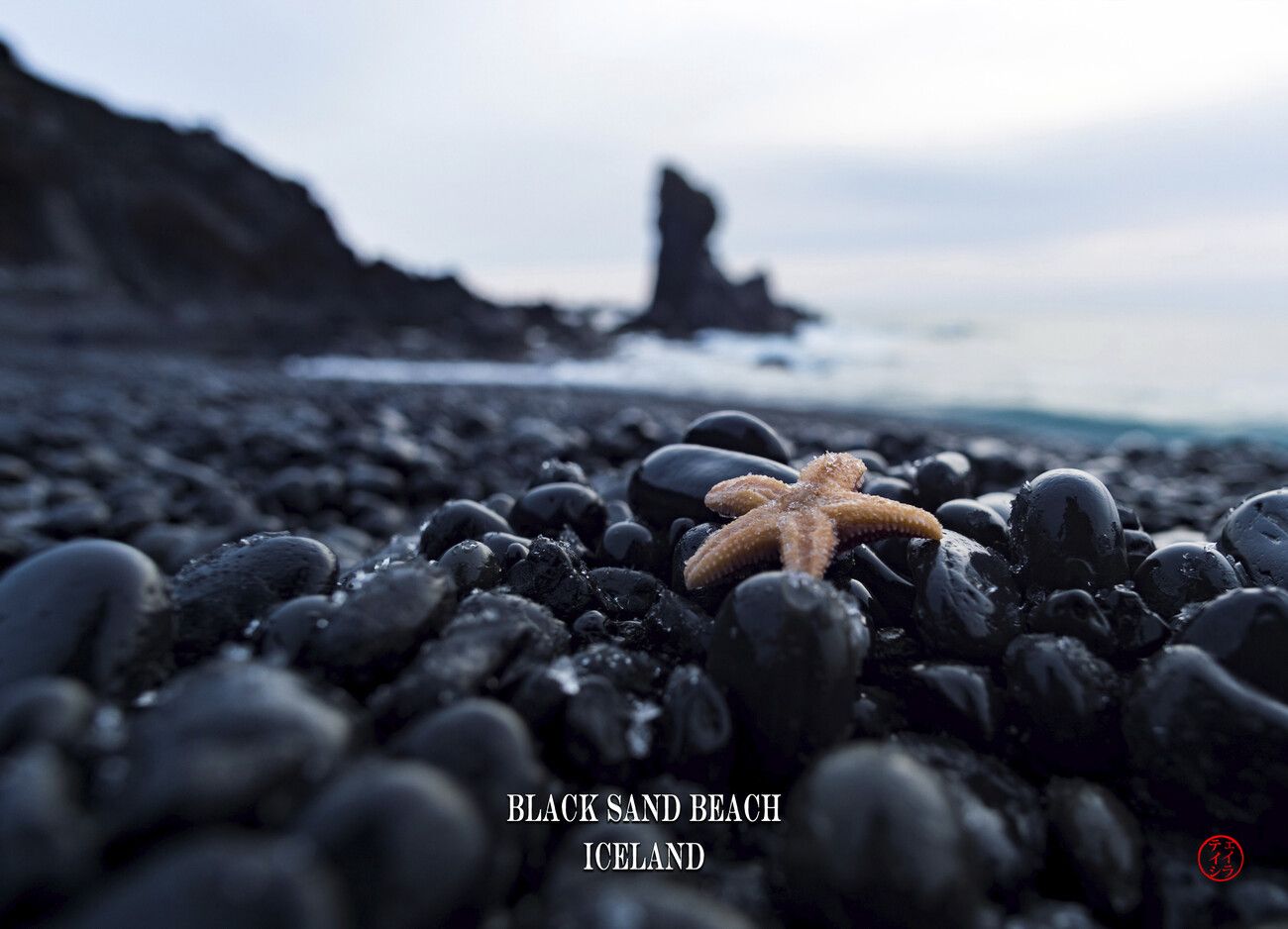 1300x938 Poster Black sand beach Iceland. Wall Art 1 FREE