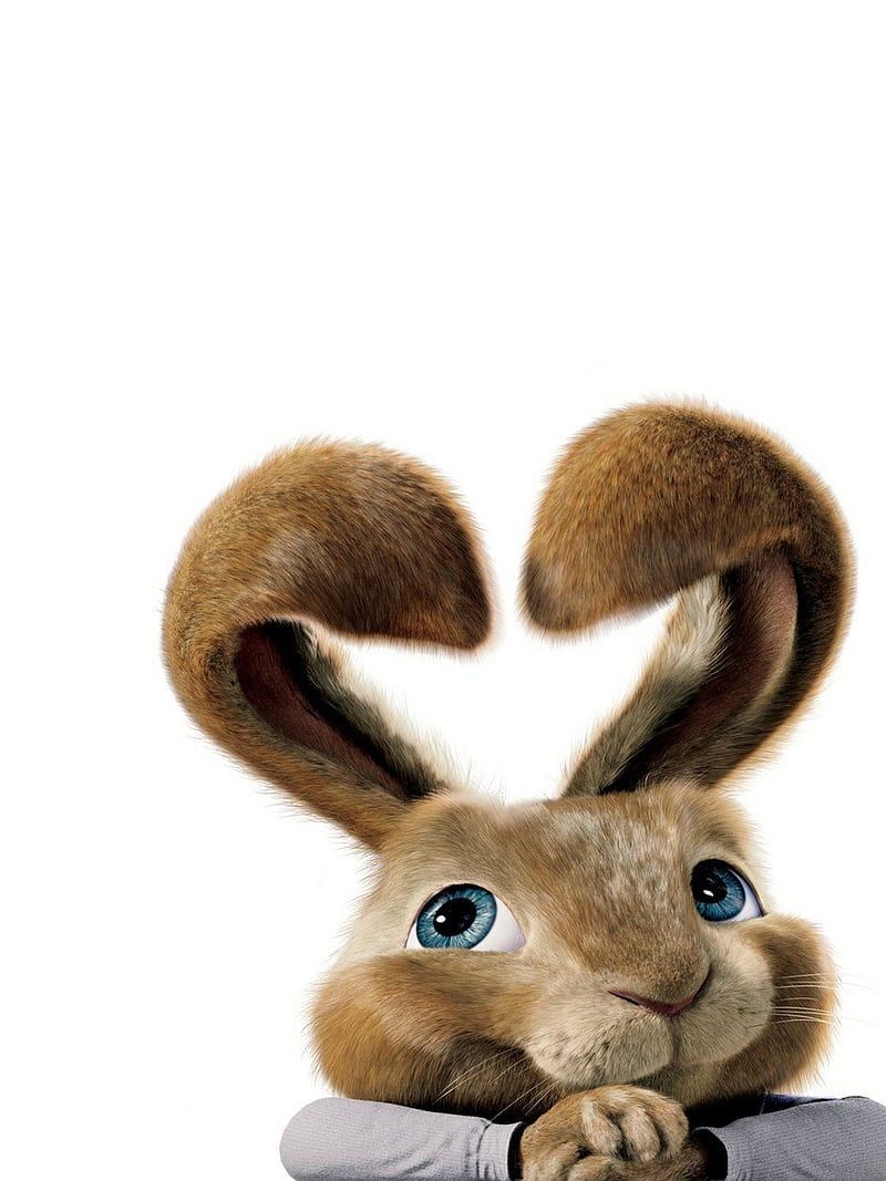 800x1067 Funny bunny, HD phone wallpaper