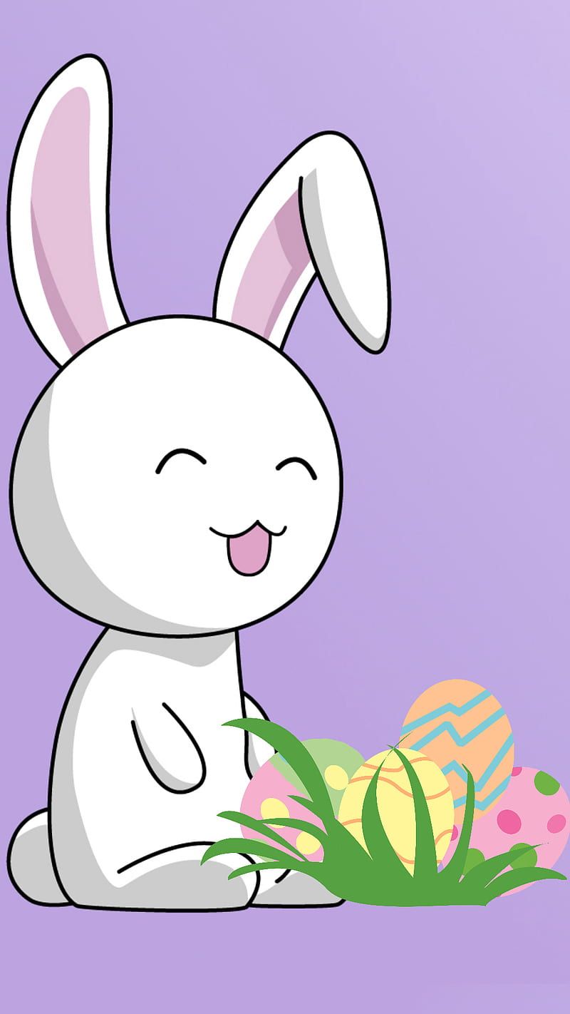 800x1422 Silly Bunny, cute, funny, HD phone wallpaper
