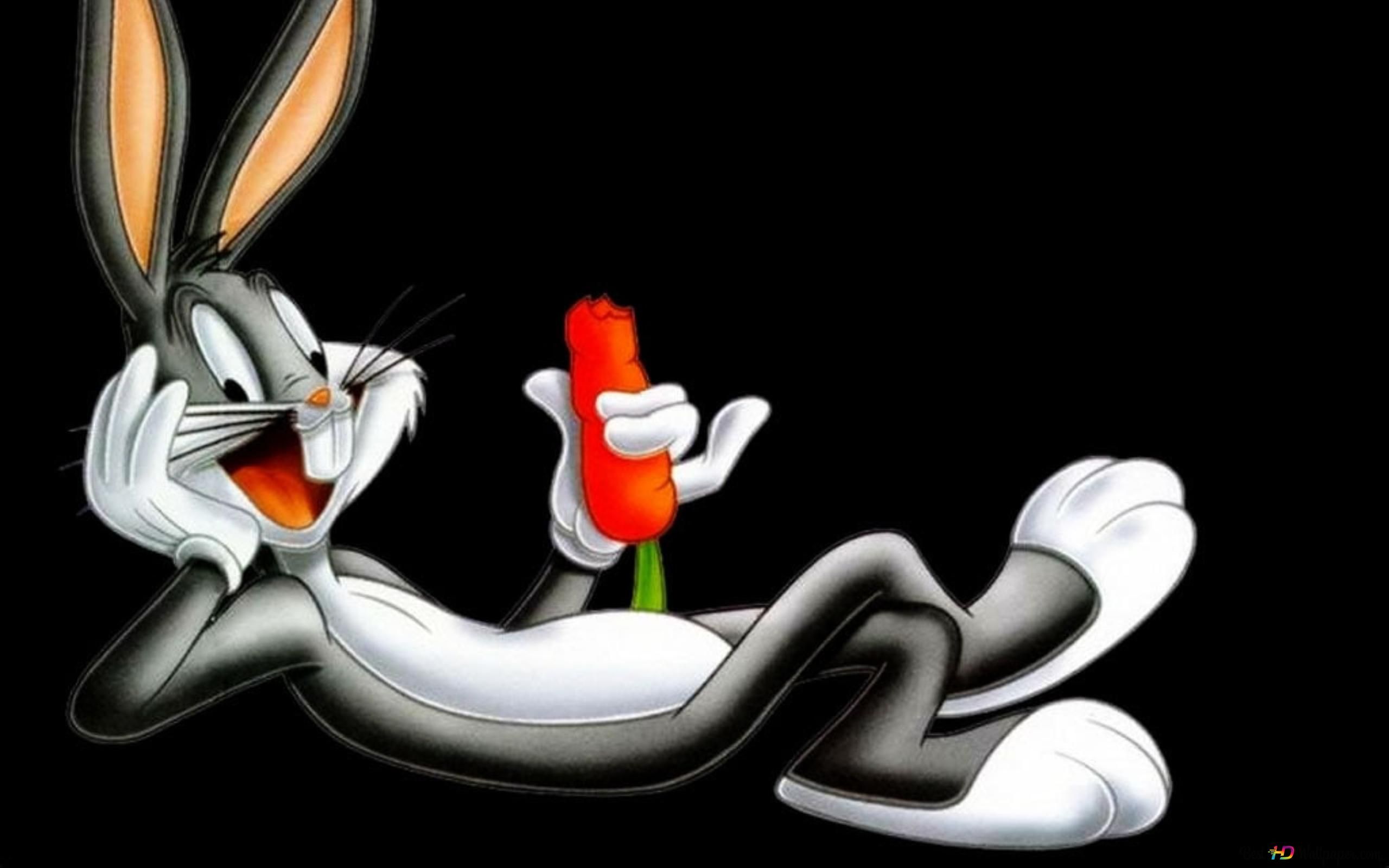 2560x1600 Bugs bunny funny 3 2K wallpaper download