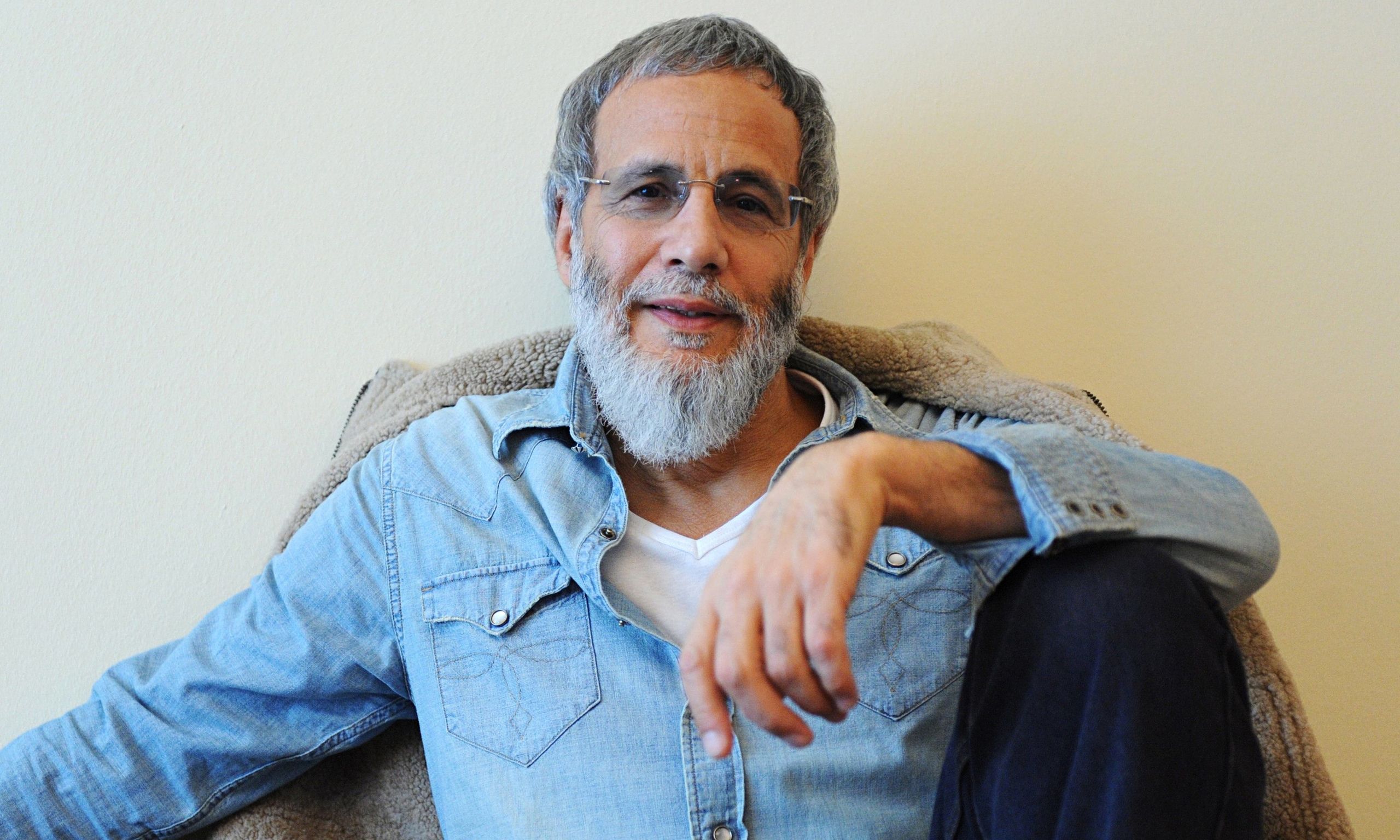 2560x1536 Free Cat Stevens 4K Wallpaper & Desktop HD Background for PC