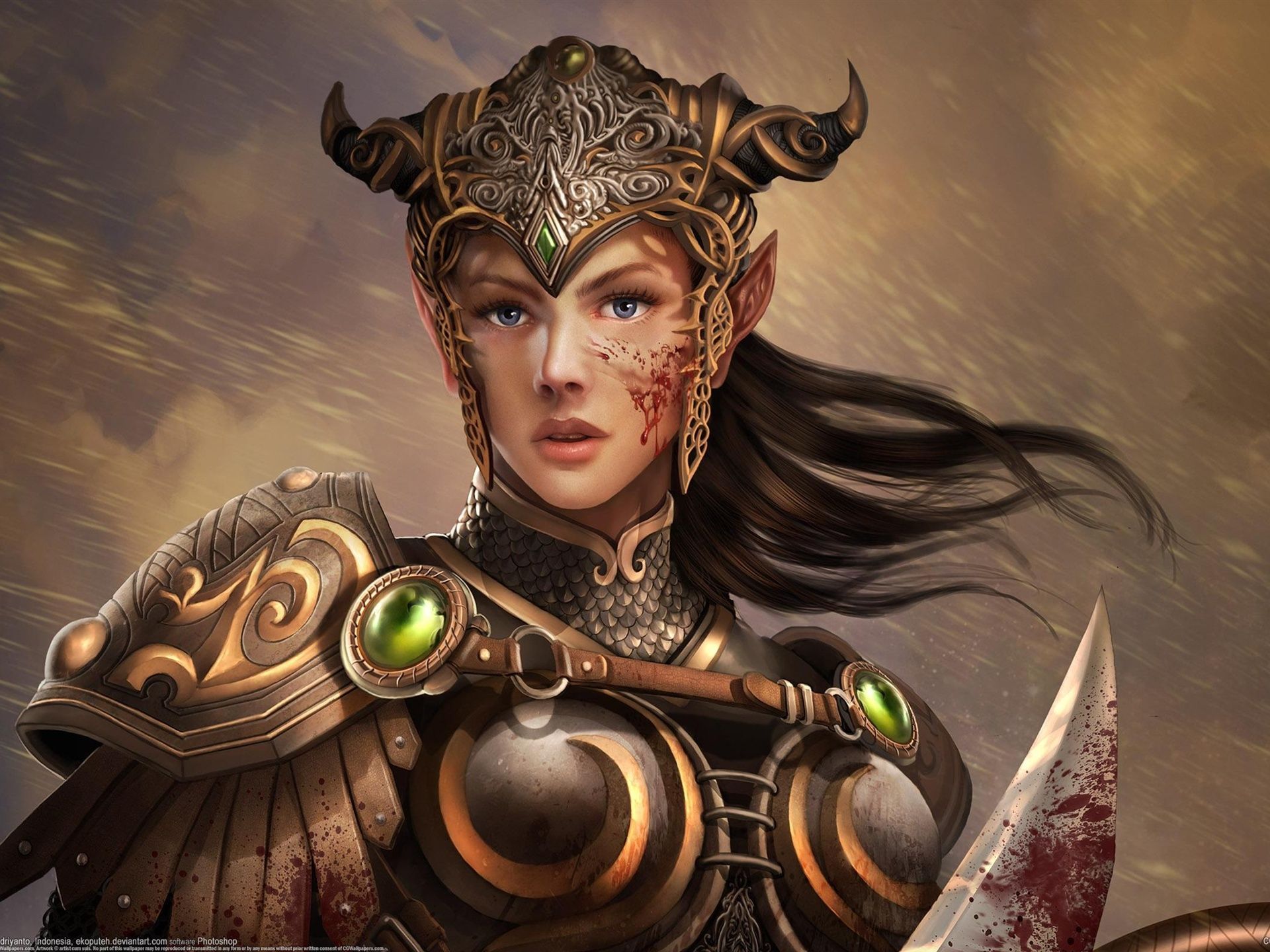 1920x1440 Wallpaper Girl elf knight warrior armor 2560x1600 Picture, Image