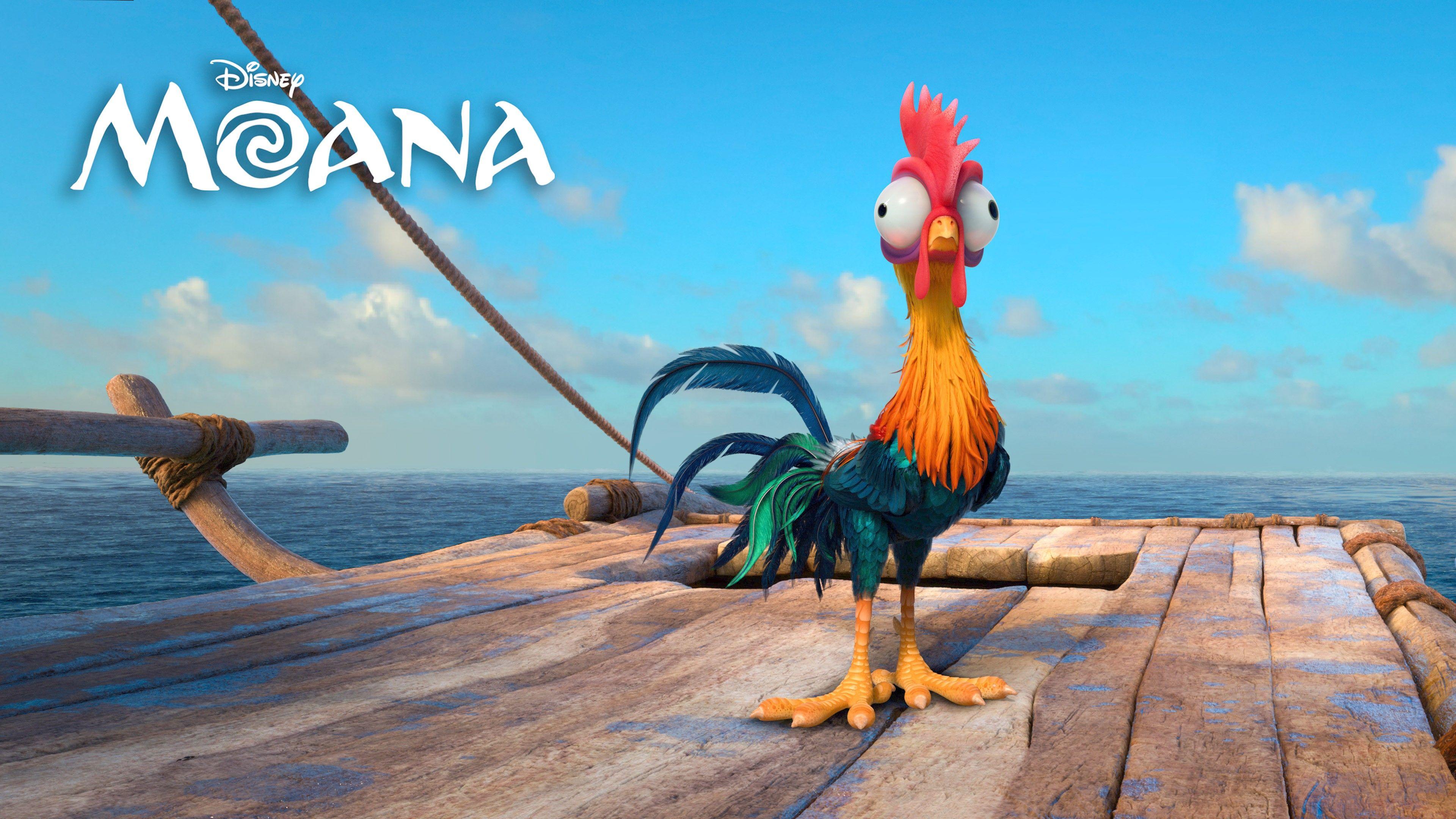 3840x2160 Wallpaper Moana, chiken, heihei, best animation movies of 2016