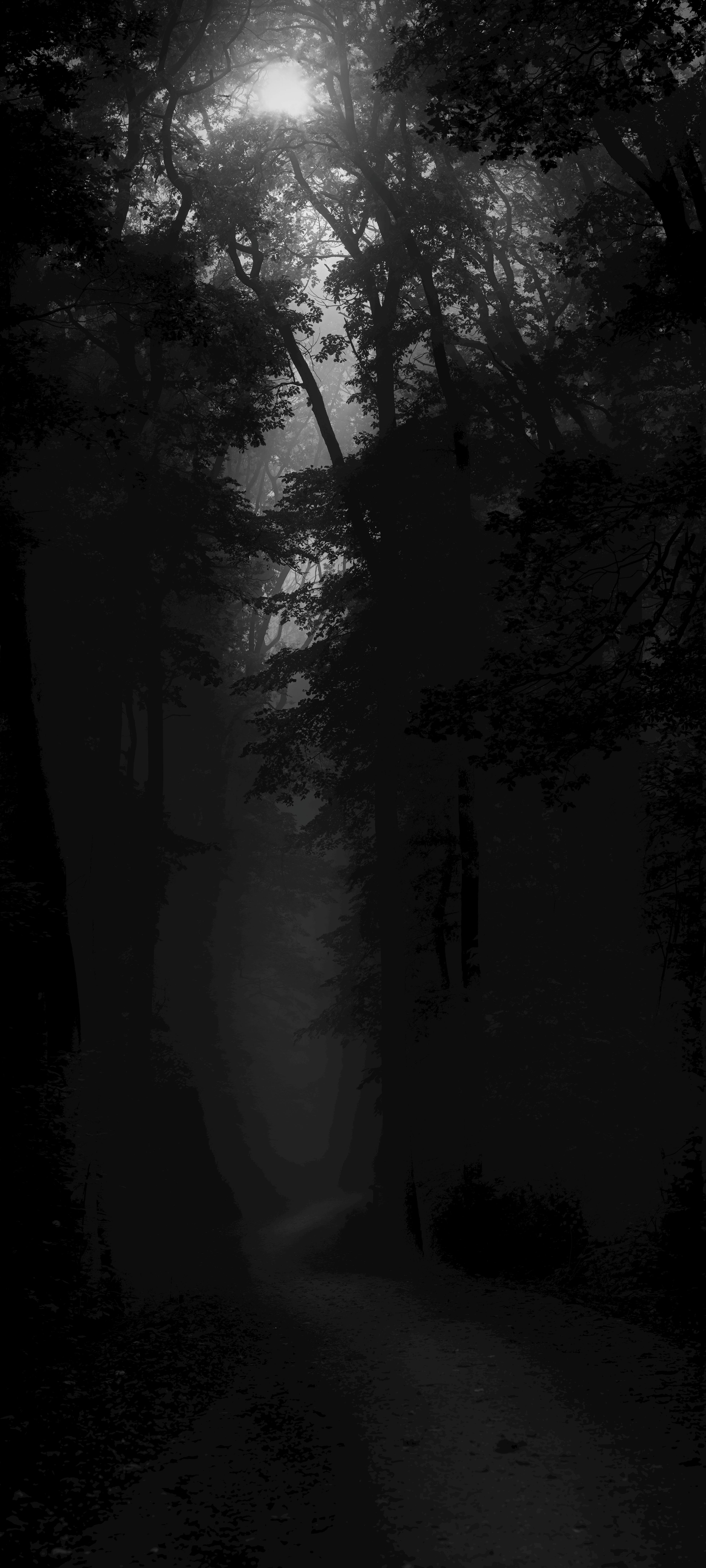 3690x8192 Dark Wallpaper Photo, Download The BEST Free Dark Wallpaper & HD Image