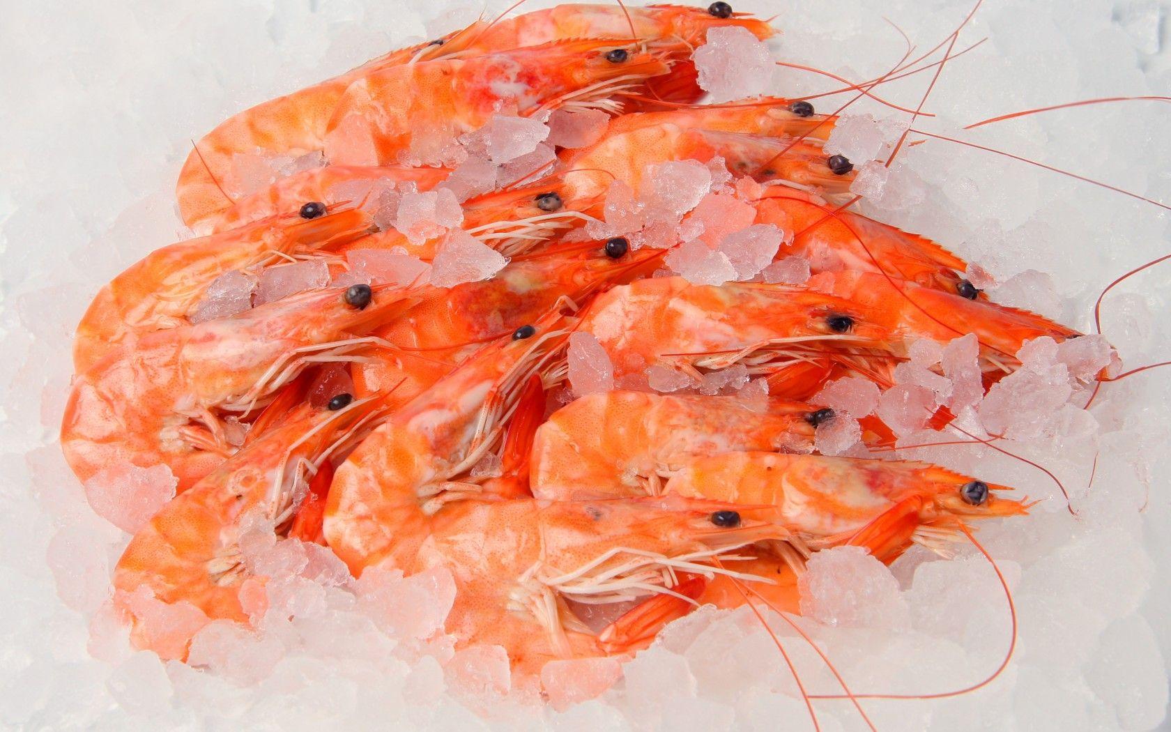 1680x1050 Shrimp Wallpaper. Shrimp Cocktail
