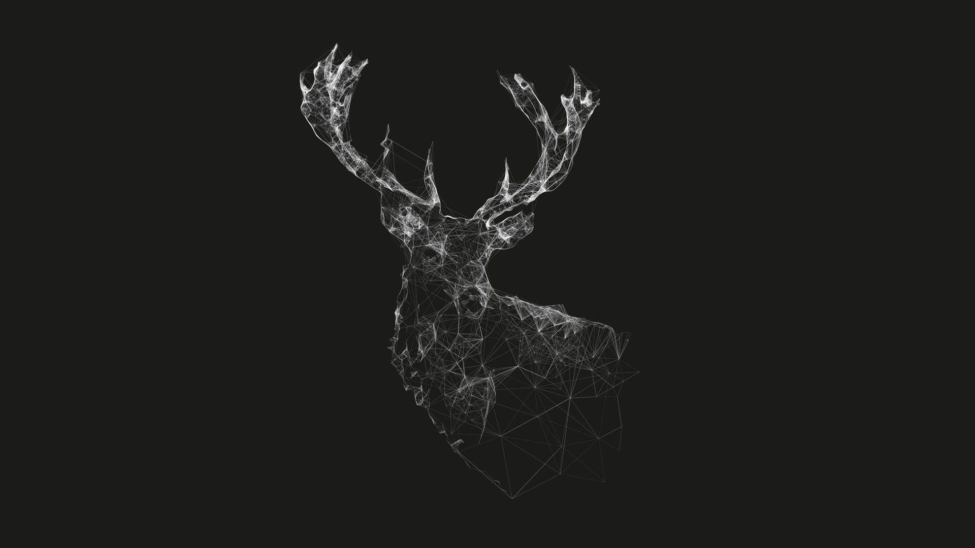 1920x1080 Creative Picture