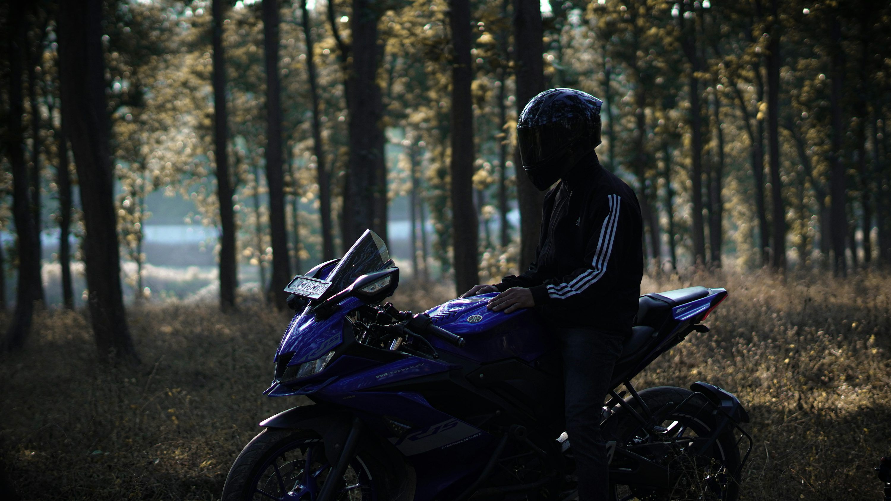 3000x1688 R15 V4 Picture. Download Free Image