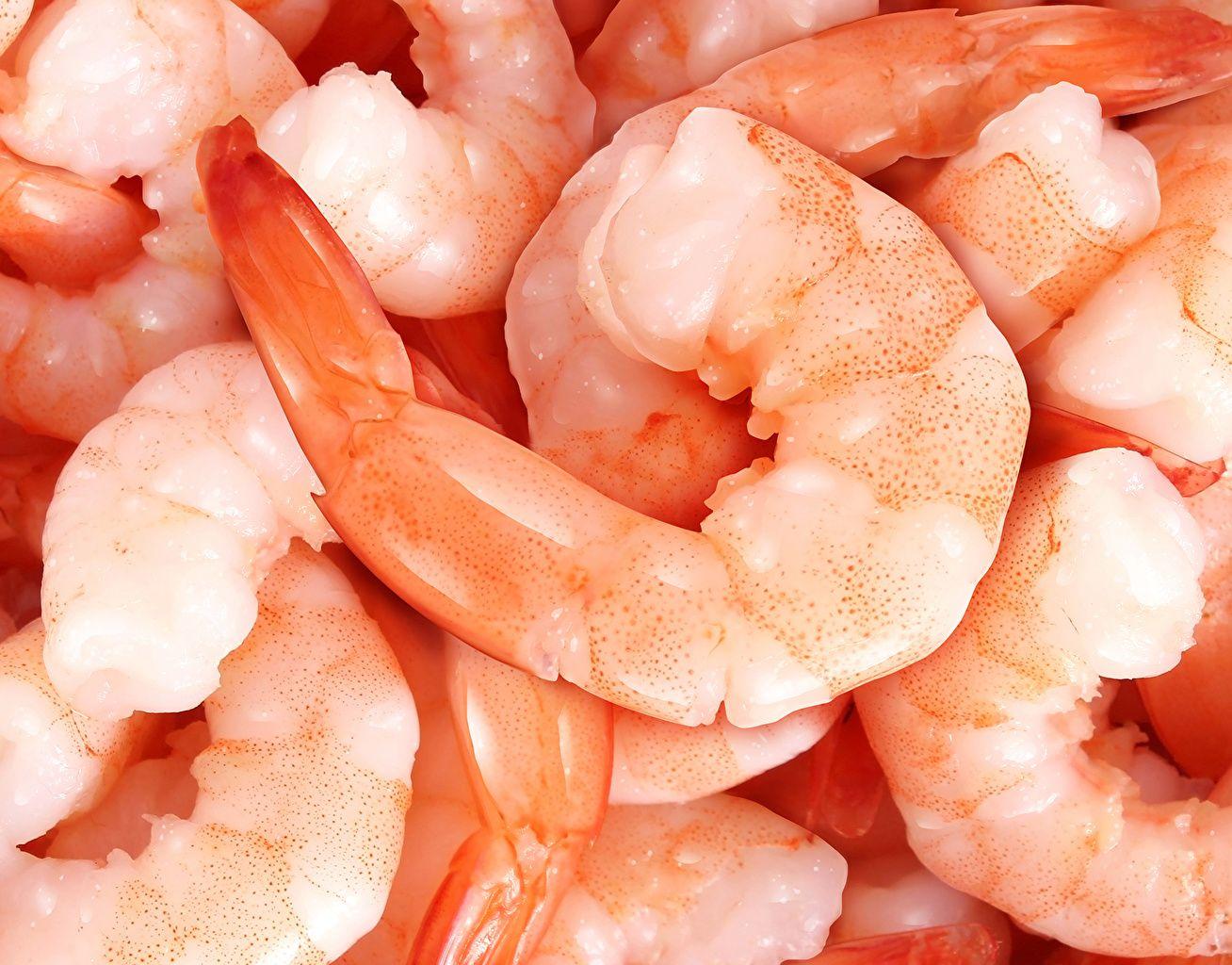 Shrimp Wallpapers - Top Free Shrimp Backgrounds - WallpaperAccess