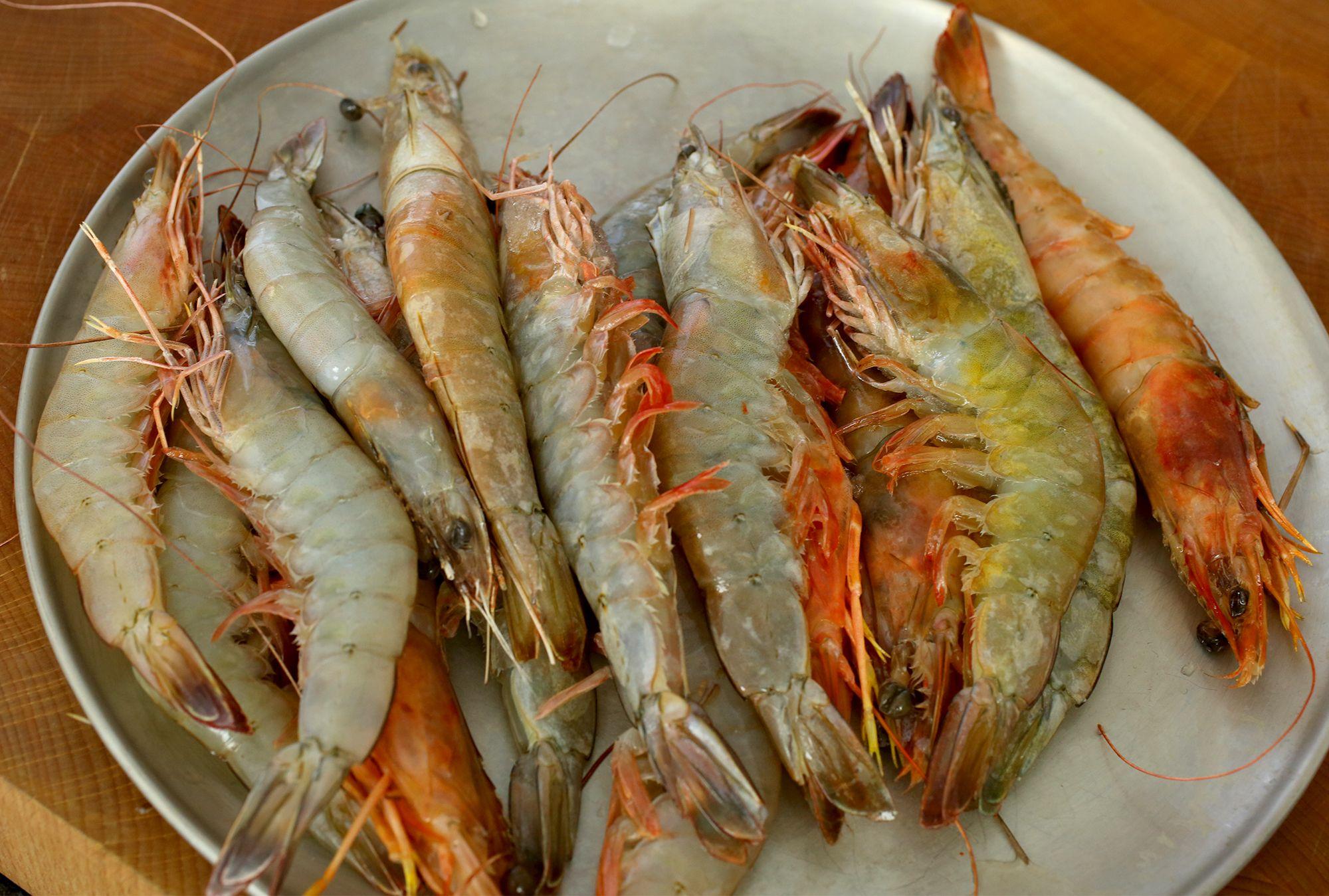 2000x1349 Shrimp wallpaper, Animal, HQ Shrimp .