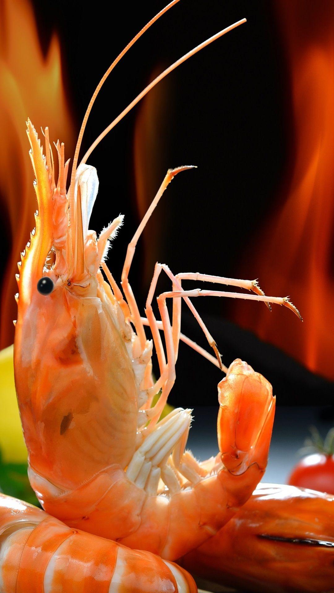 Shrimp Wallpapers - Top Free Shrimp Backgrounds - WallpaperAccess