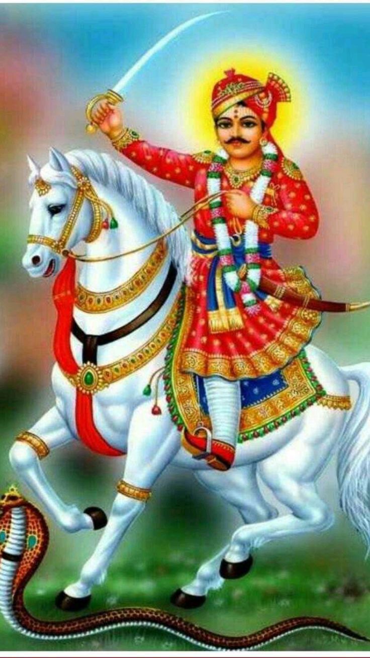 736x1308 veer Tejaji poto