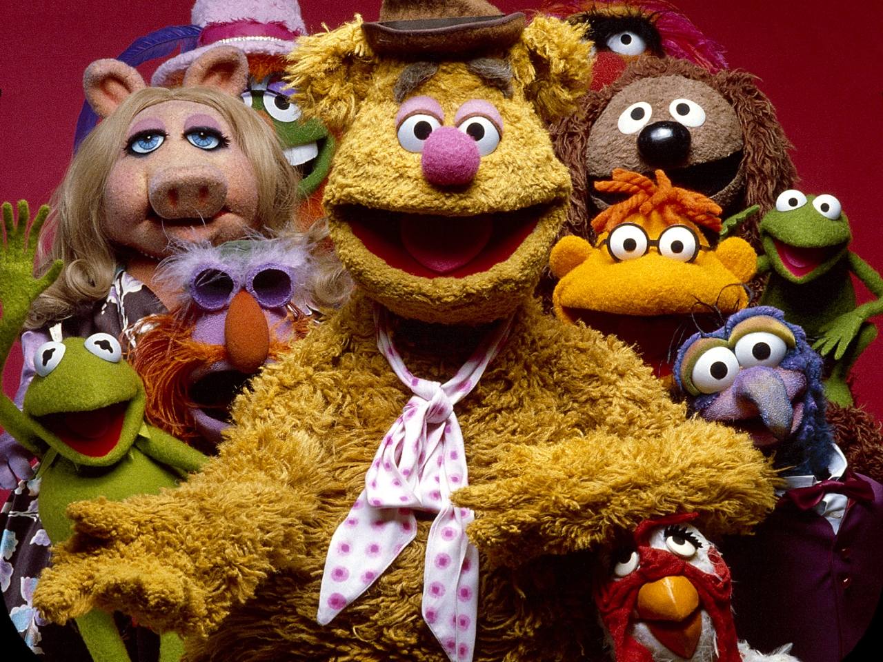 The Muppets Wallpapers Top Free The Muppets Backgrounds WallpaperAccess