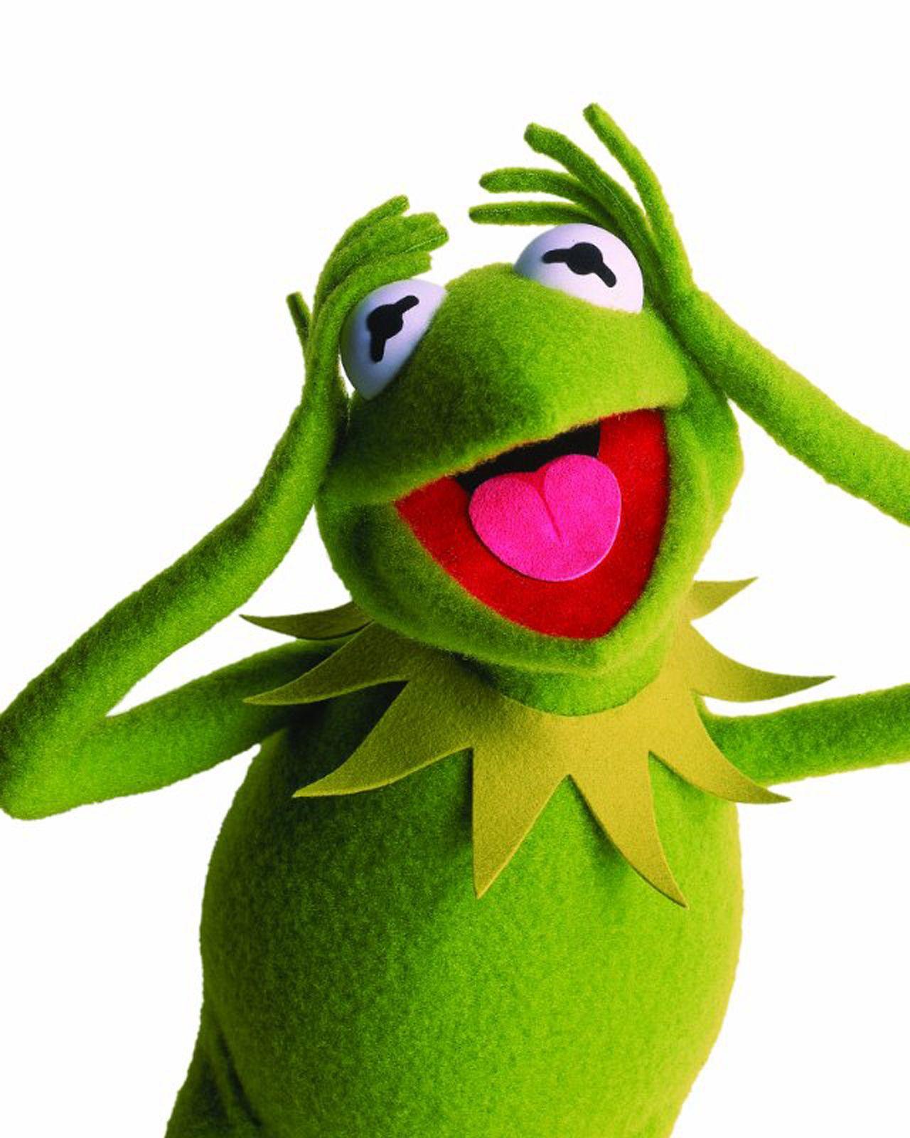 1280x1600 Central Wallpaper: The Muppets 3D Movie Wallpaper