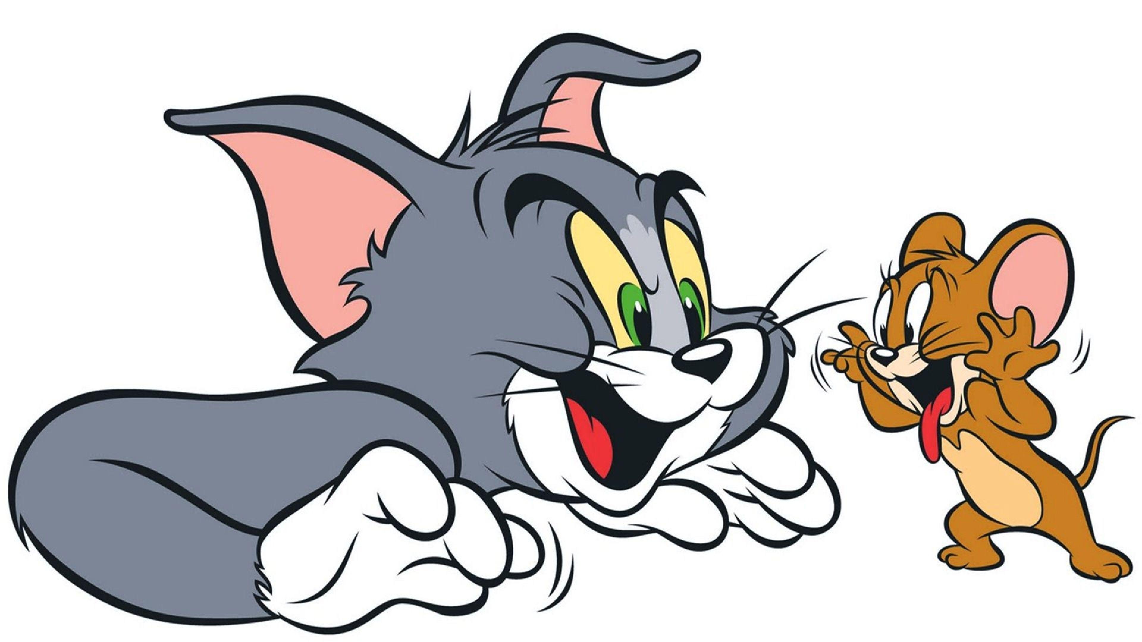 Hình nền Tom And Jerry 3840x2160.  Tom, jerry hd, Tom, jerry cartoon, Tom