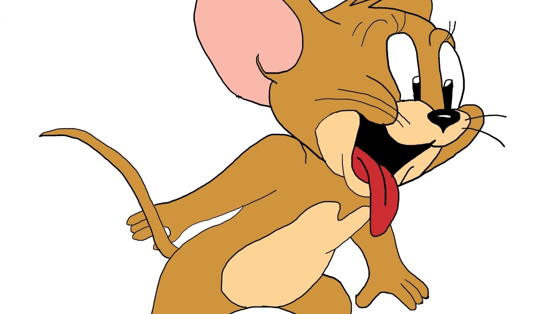 1920x1080 Hình nền chuột Jerry.  Tom và Jerry