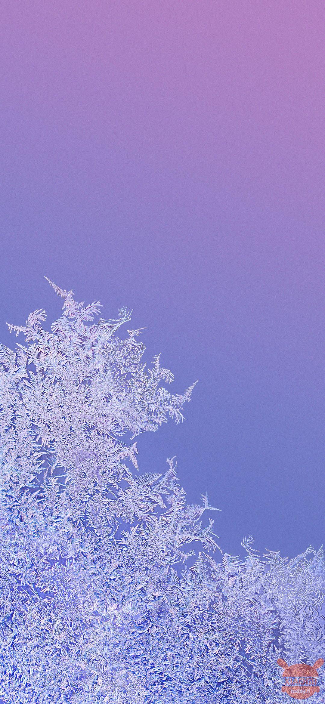 1080x2340 MIUI 11 in advance for all Xiaomi devices (clickbait title)
