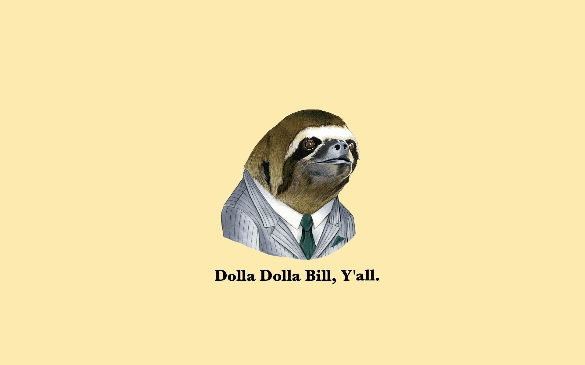 sloth hd wallpaper