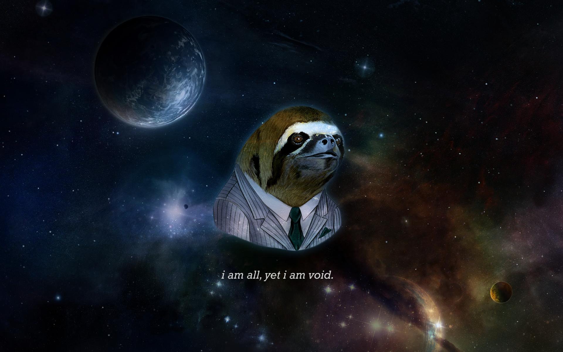 1920x1200 Sloth Desktop Wallpaper