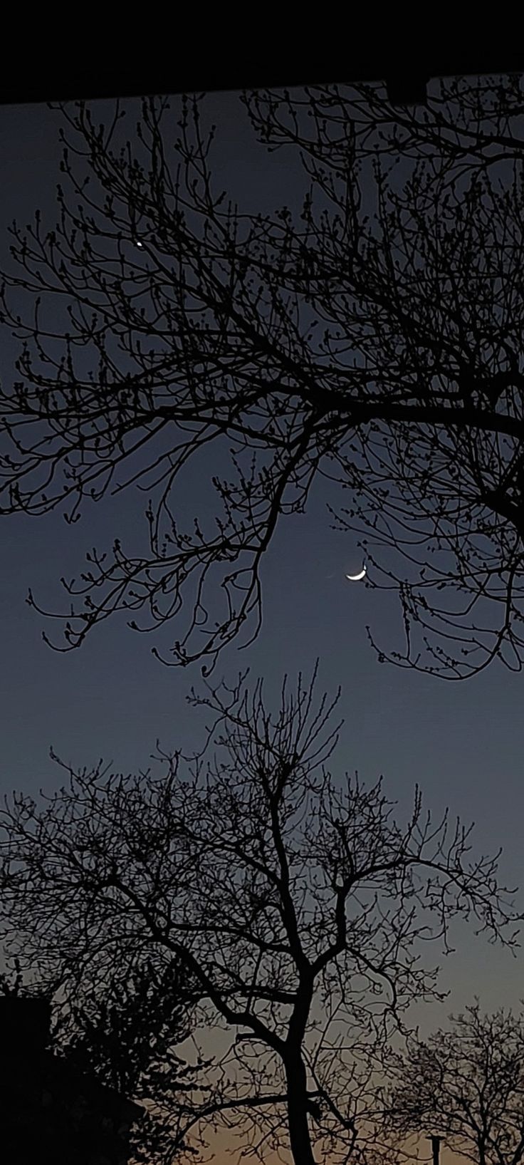 736x1635 Moon