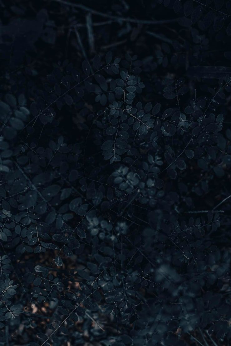740x1109 Dark Poster Background Photo Free High Quality Picture