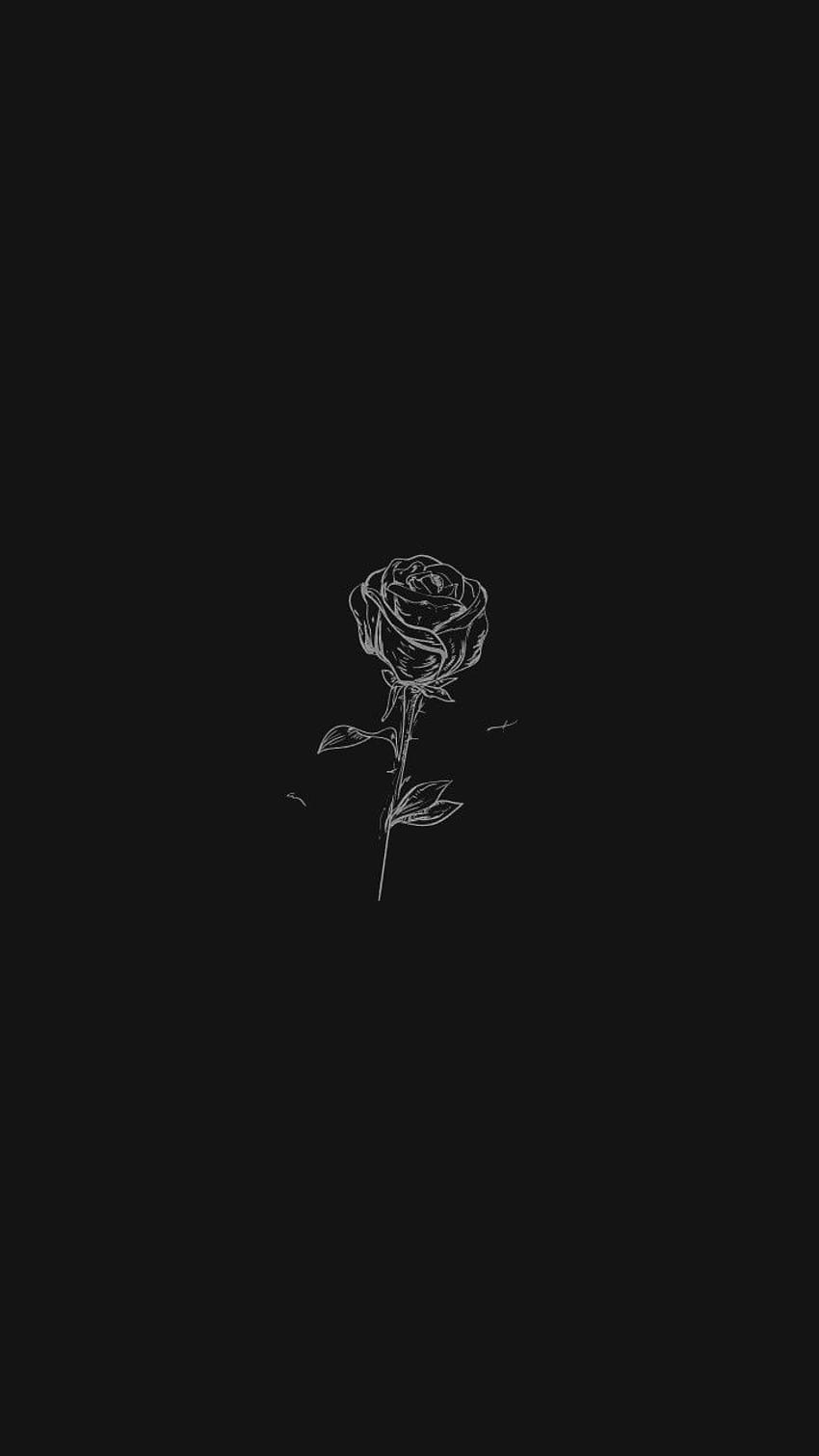 850x1511 Black Rose, soft dark HD phone wallpaper
