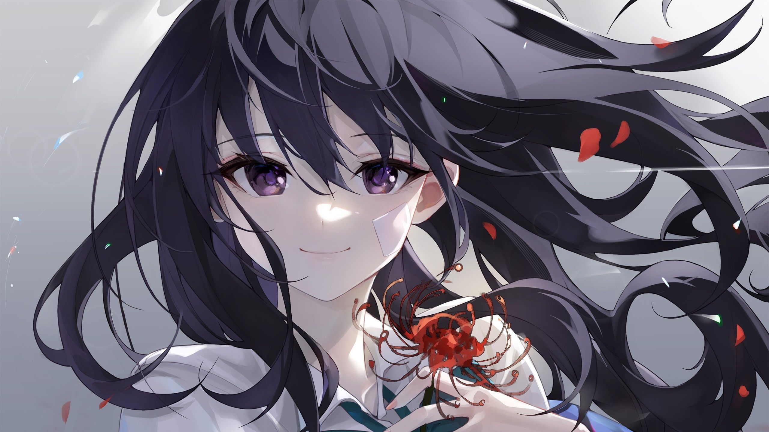 2560x1440 Black Hair Purple Eyes Takina Inoue Anime Girl HD Lycoris Recoil Wallpaper