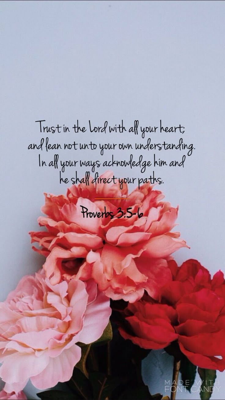 736x1309 Proverbs 3:5- Trust in the Lord, iPhone Wallpaper