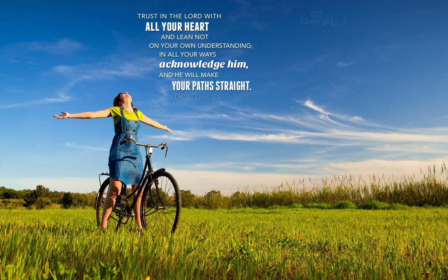 1440x900 Proverbs 3:5 6 NIV Verses And Scripture Wallpaper For Phone Or Computer