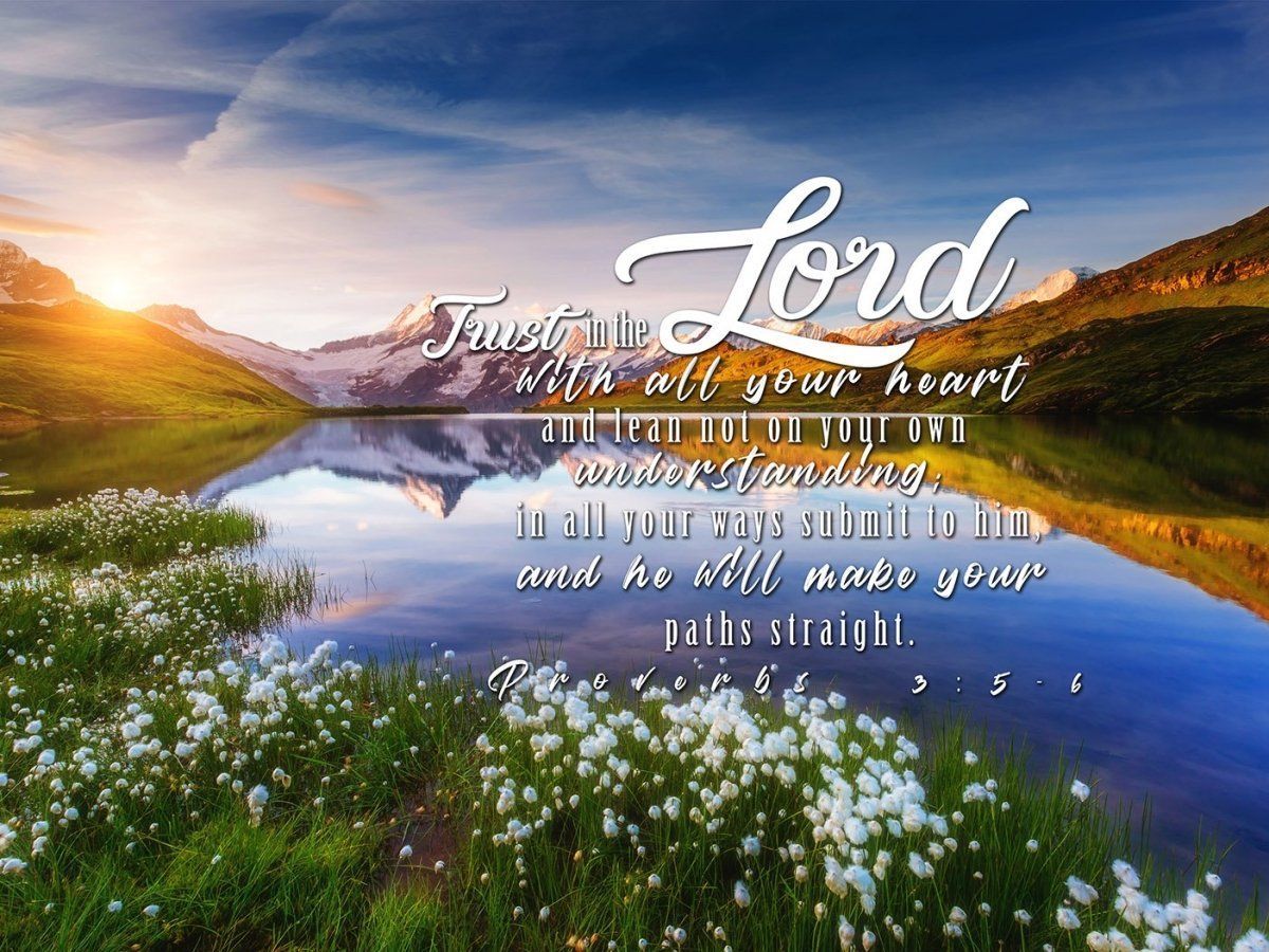 1200x900 Proverbs 3:5–6 NIV Lake Sunset Wall Art with Daisies