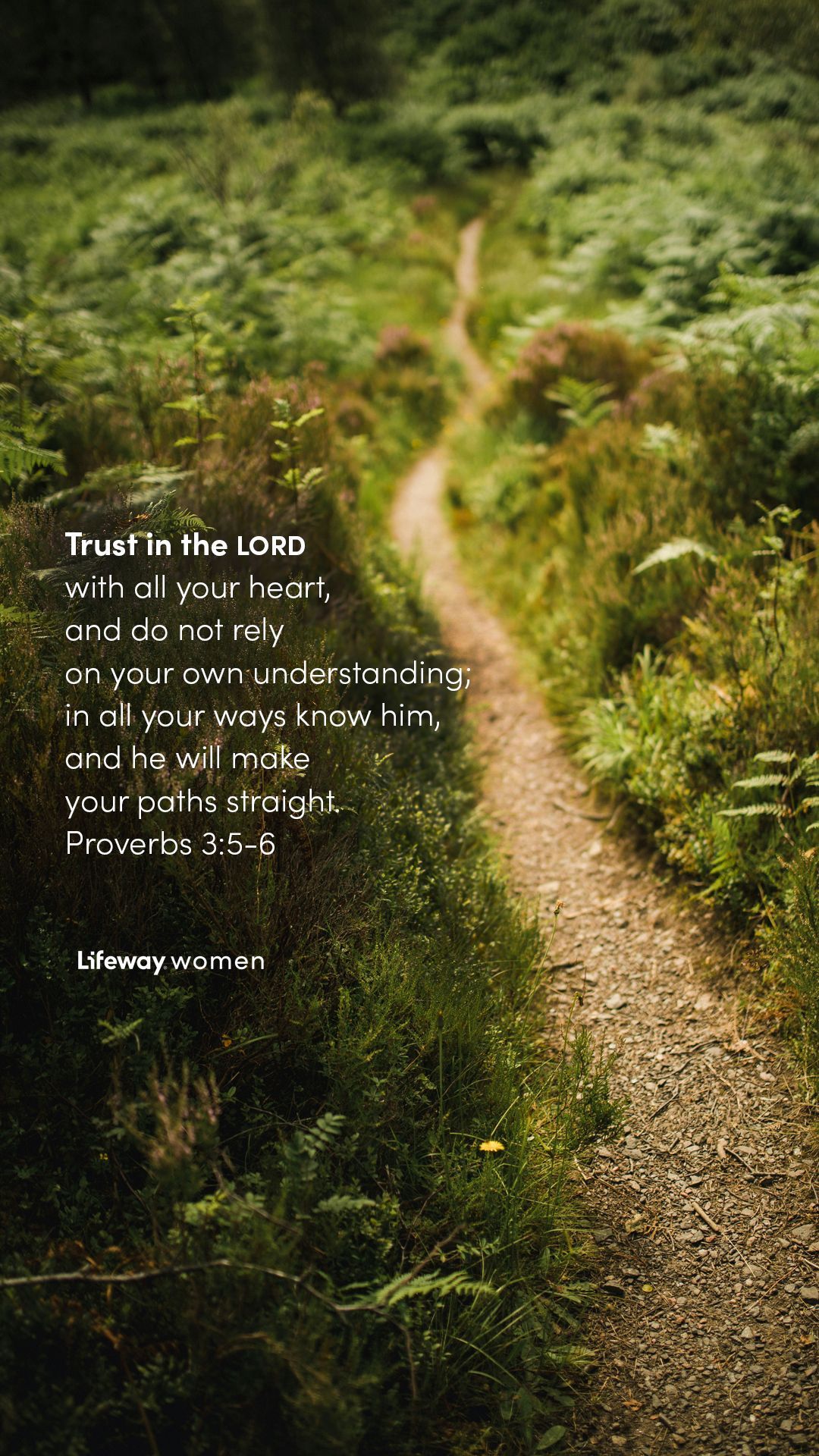 1080x1920 Scripture Wallpaper for Encouragement