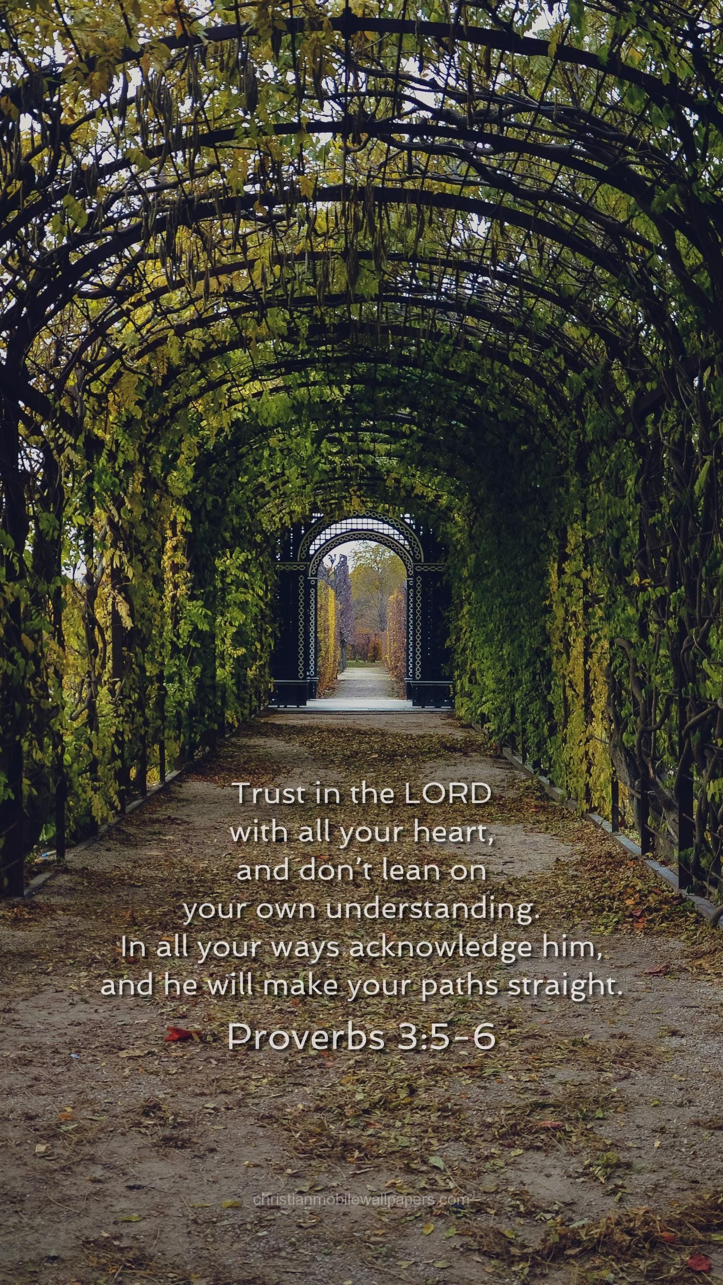 1440x2560 Proverbs 3:5 Wallpaper