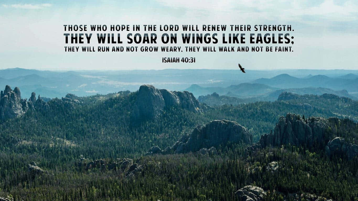1365x768 Download Trust in the Lord with all your heart, and lean not on your own understanding. (Proverbs 3:5) Wallpaper